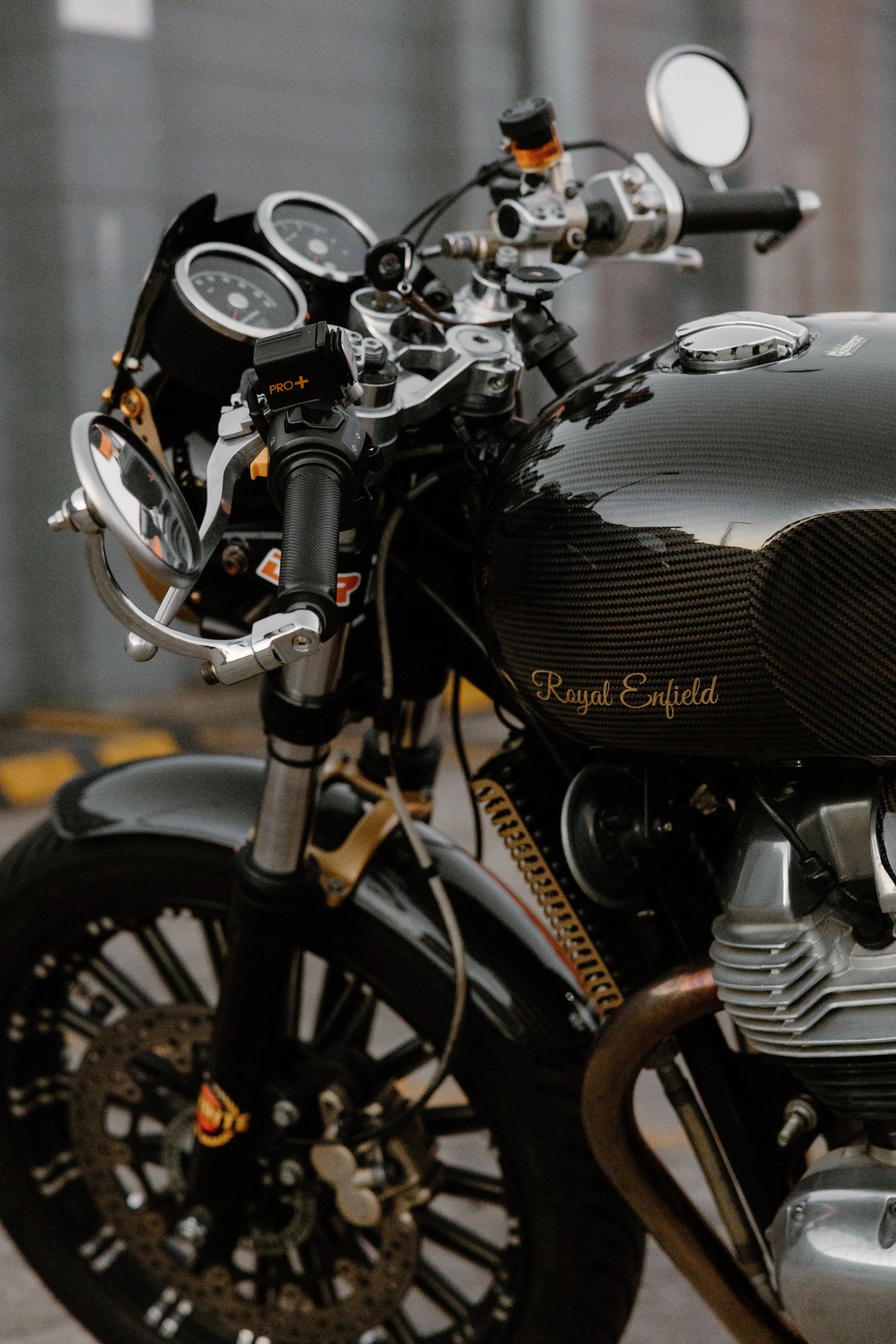 R6II6498.jpg