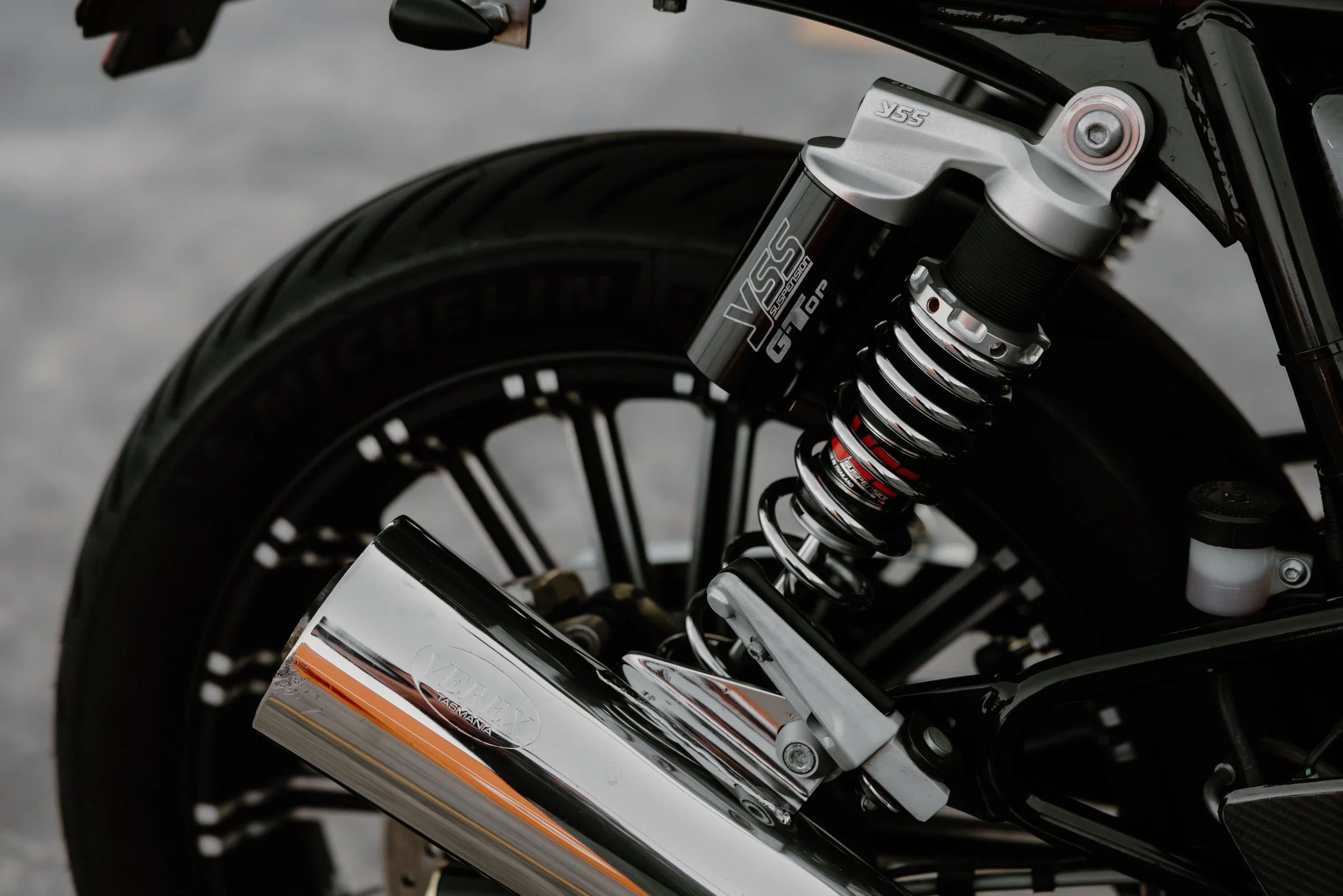 R6II6454.jpg