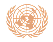 The United Nations emblem featuring a world map surrounded by olive branches.