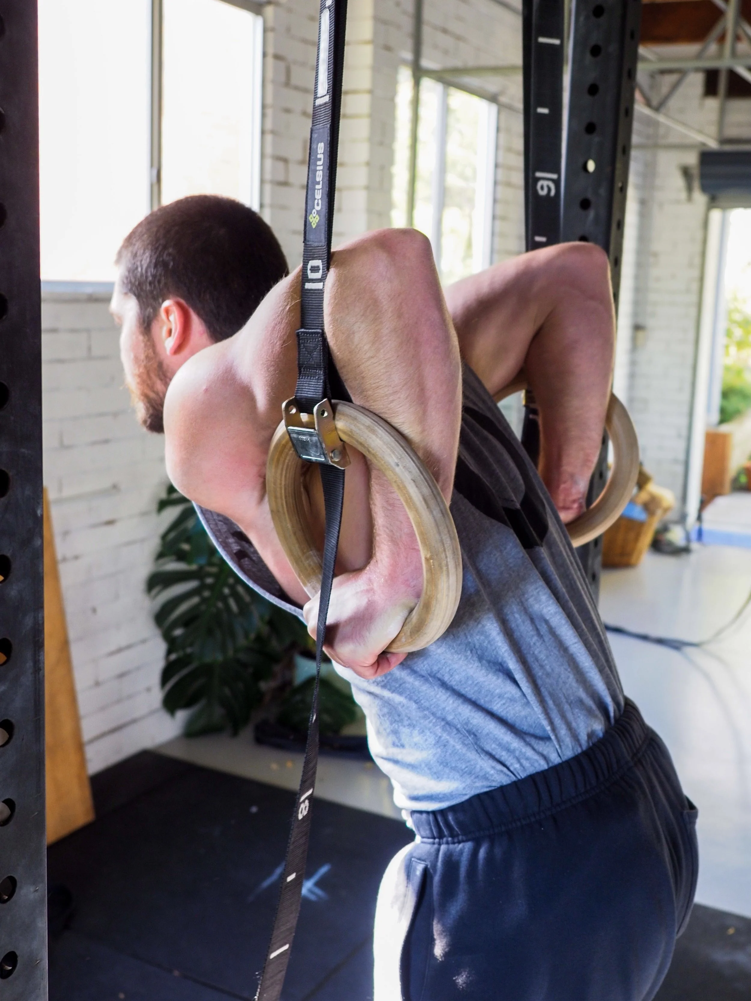 Ring strength training in a light-filled gym, developing shoulder stability and full-body control.