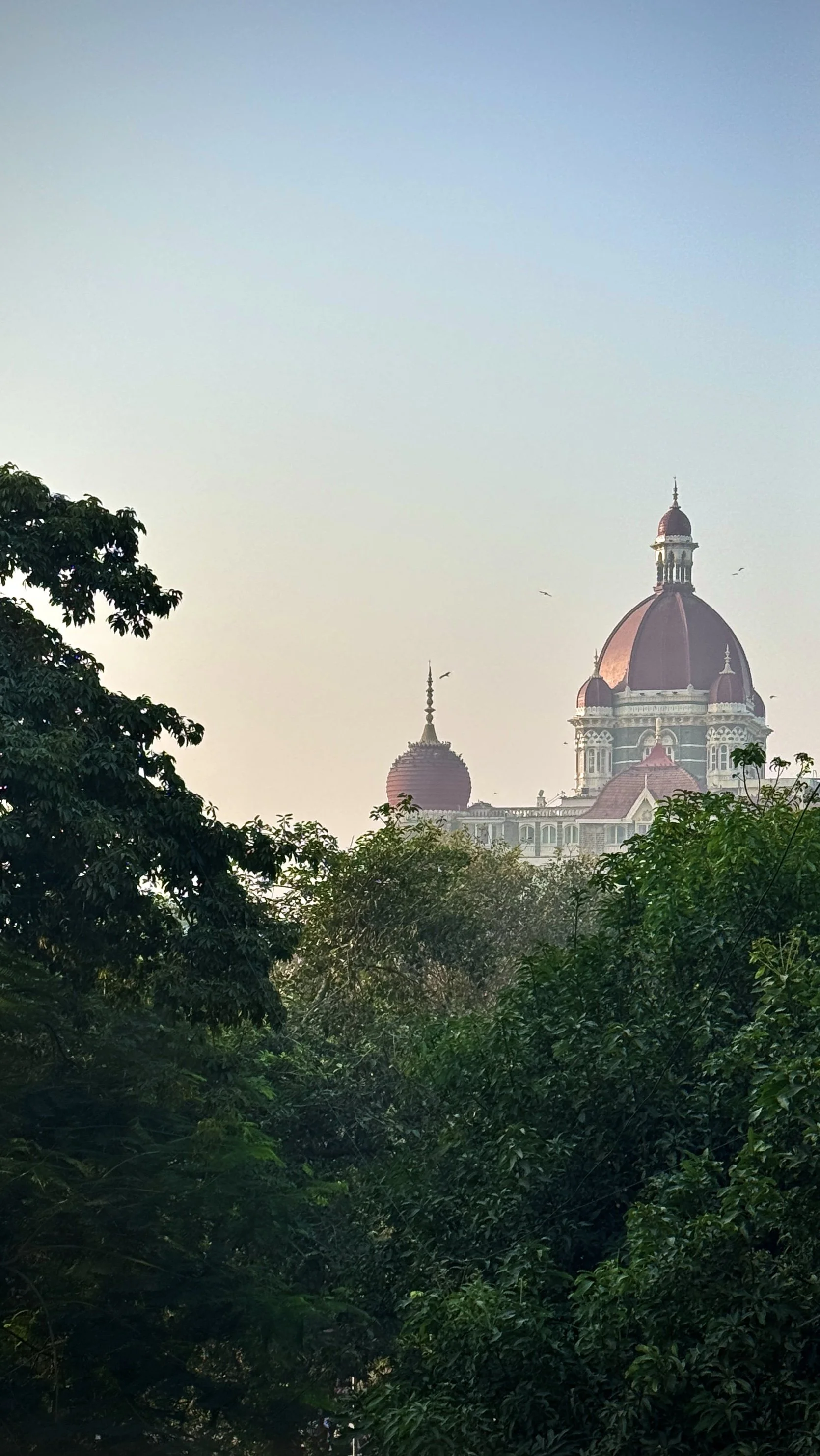  the taj palace, dawn 
