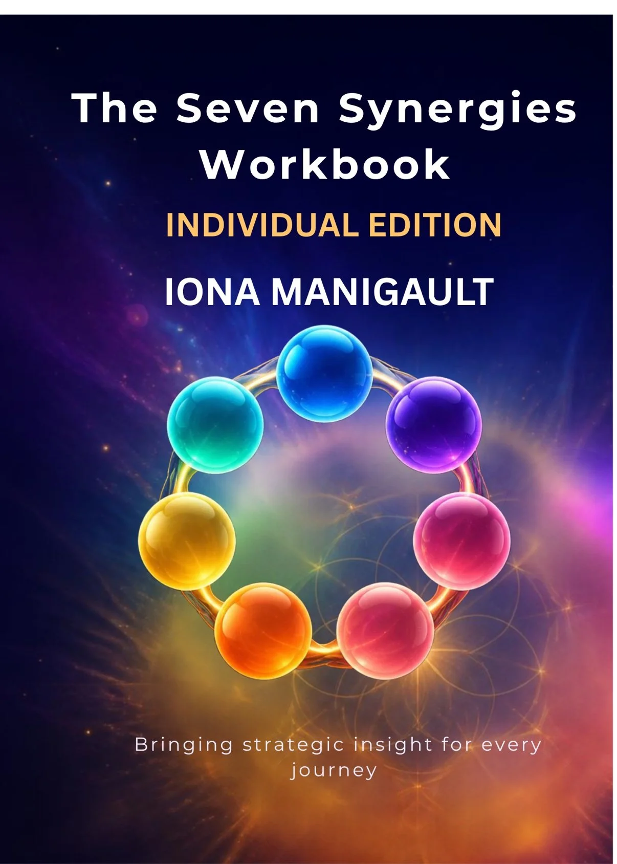 Seven Synergies Workbook _E-book