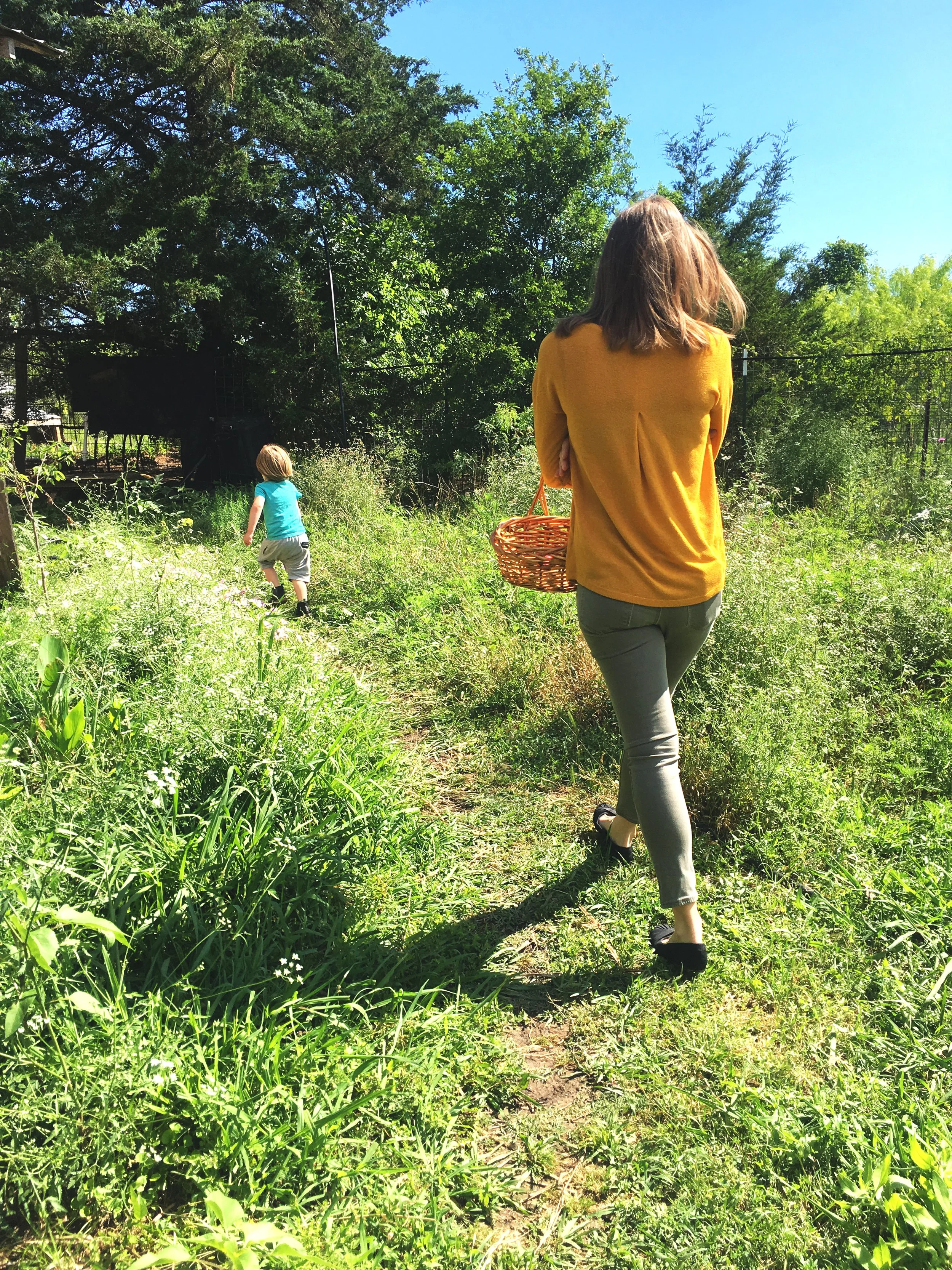 Native Plant + Herb Walk
