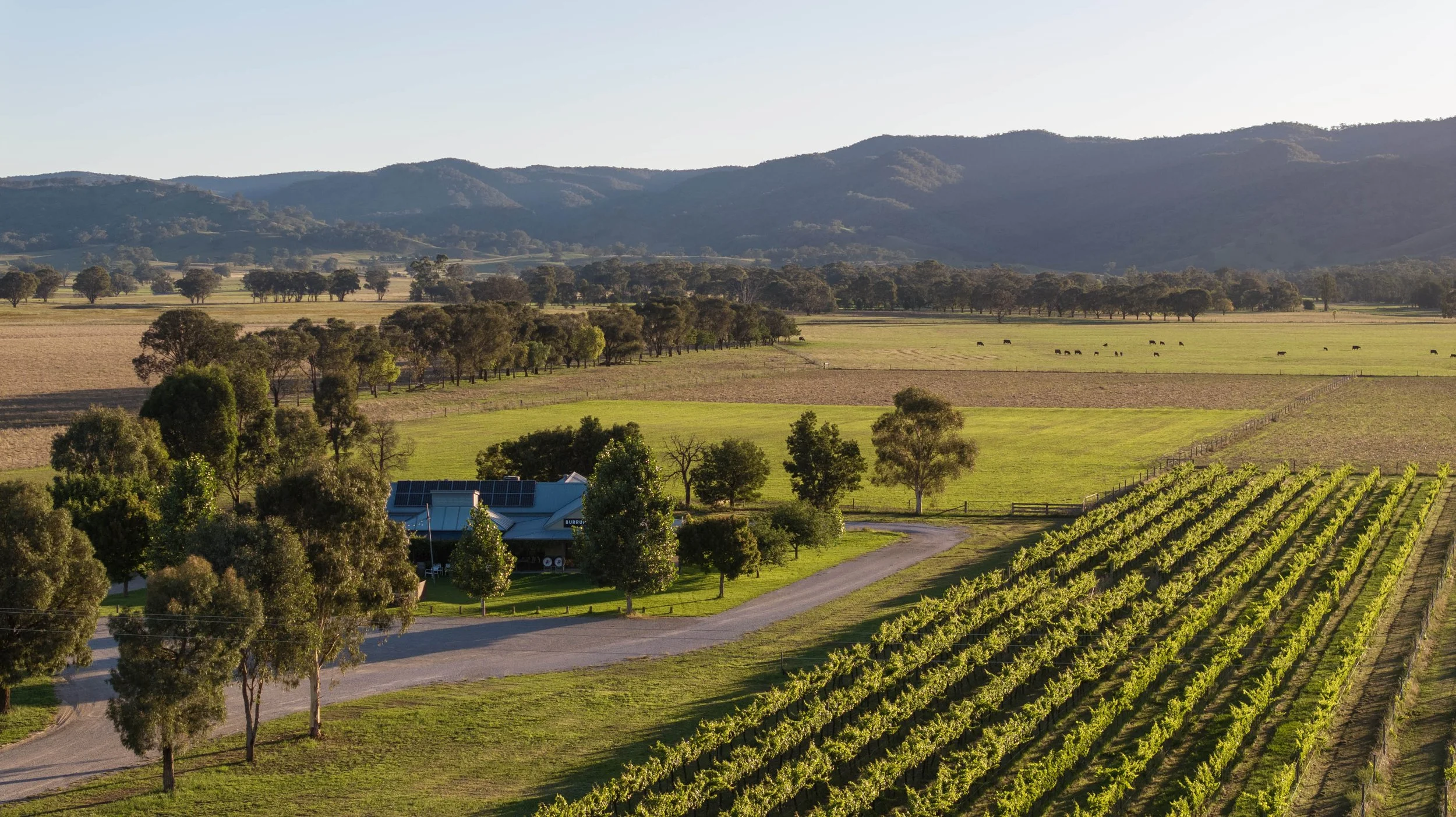 Mudgee Region Tourism - PR + events