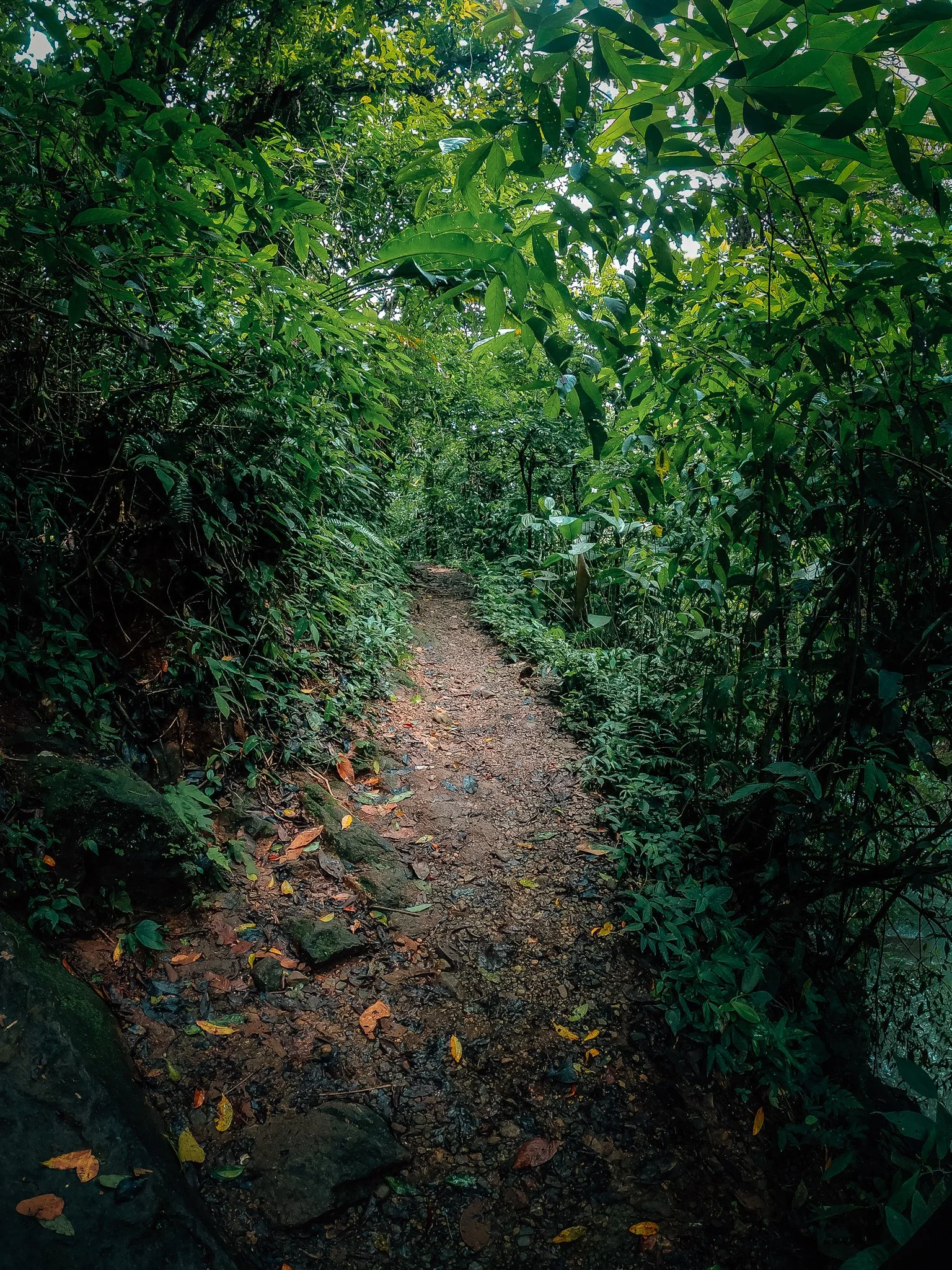 GOPR0306.jpg