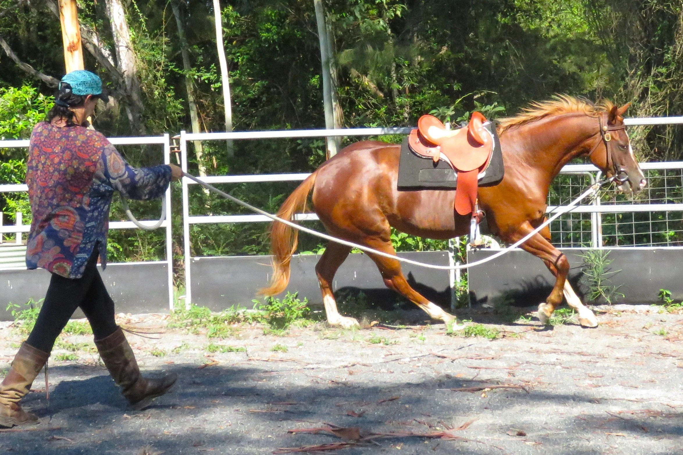 A person leading a brown horse with a saddle on a dirt path, with greenery and trees in the background.