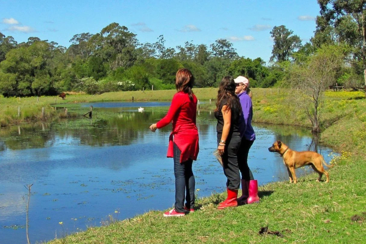 Three women and a dog standing by a pond in a rural area during the day. One woman is wearing a red sweater and jeans, the second woman is wearing a black shirt and pants, and the third woman is wearing a purple top, black pants, and pink rain boots.