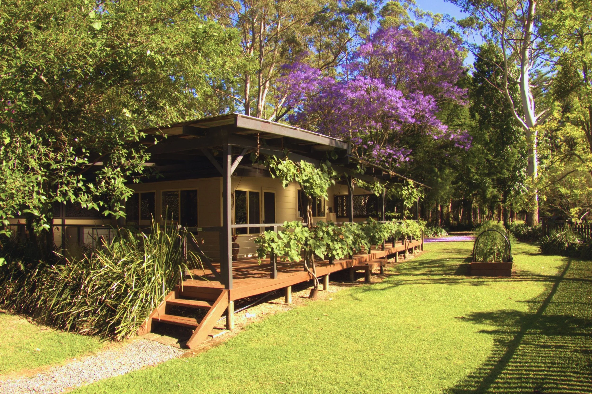 A porch extending from a house surrounded by lush green grass, trees, and purple flowering tree in the background, with a raised wooden deck and staircase.