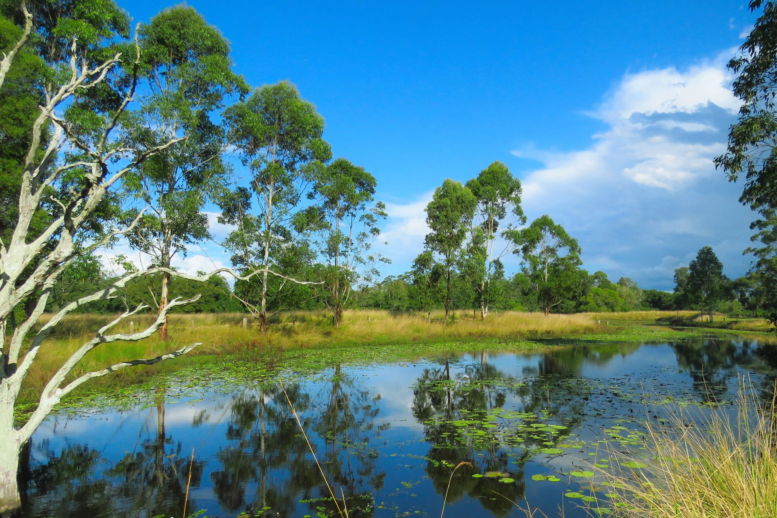 84 Kings Creek Rd Krambach - Kings Creek Retreat (19).JPG