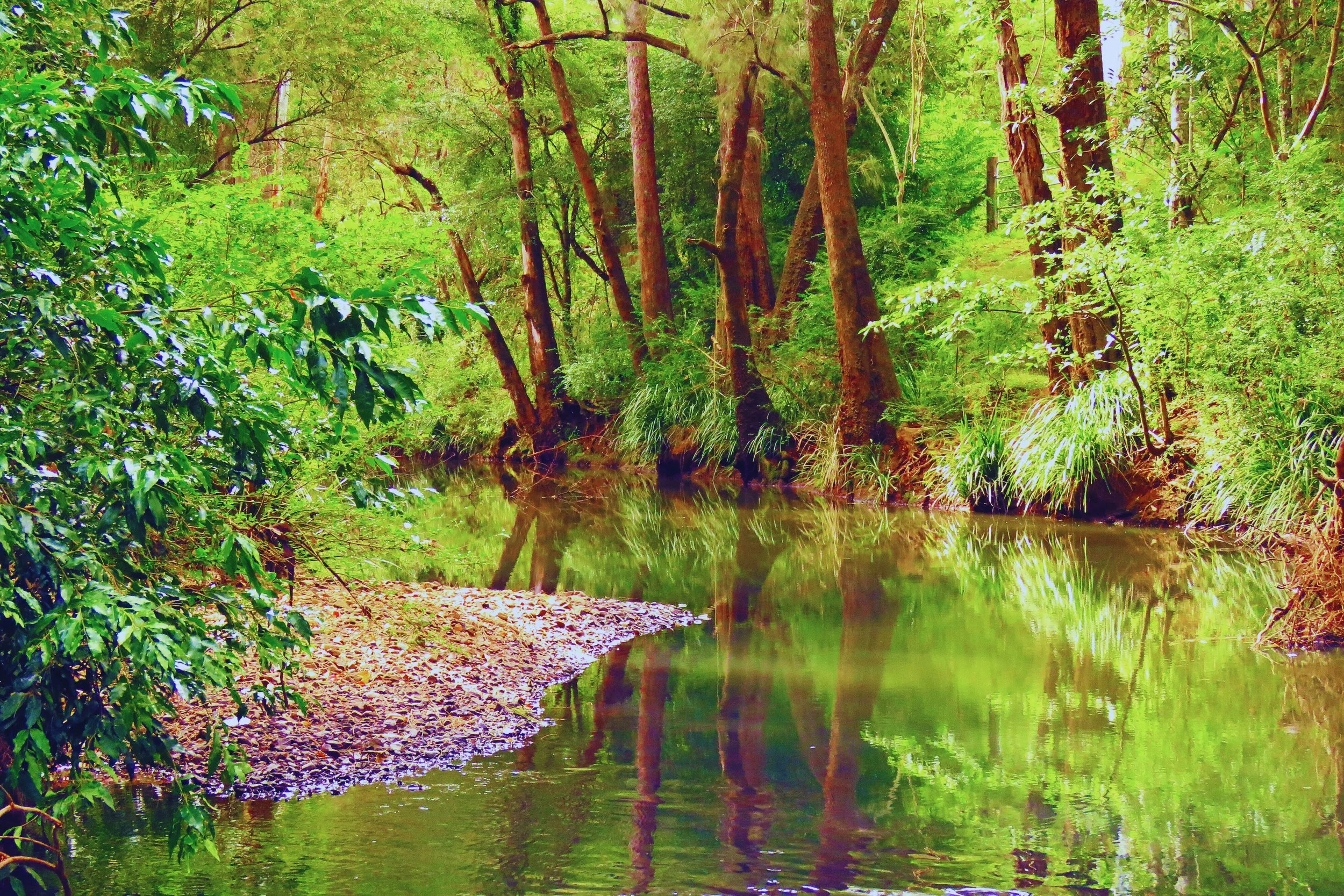 84 Kings Creek Rd Krambach - Kings Creek Retreat (2).jpg