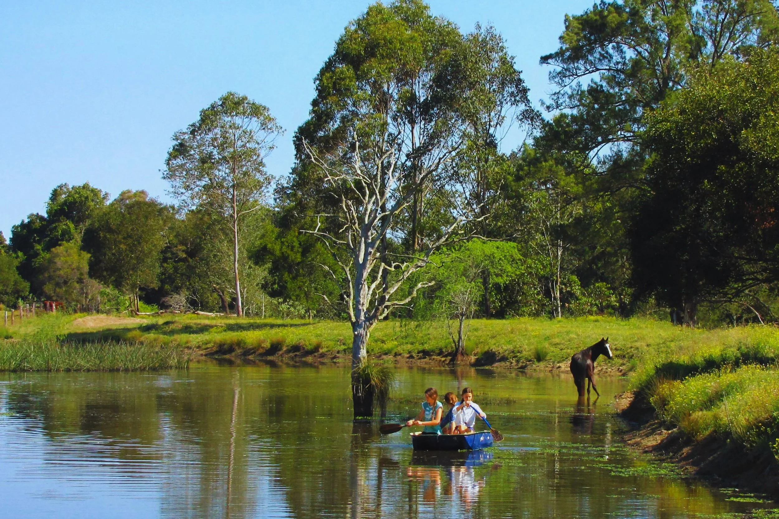 Three children are paddling a small boat on a river surrounded by trees and greenery, with a horse standing near the water's edge.