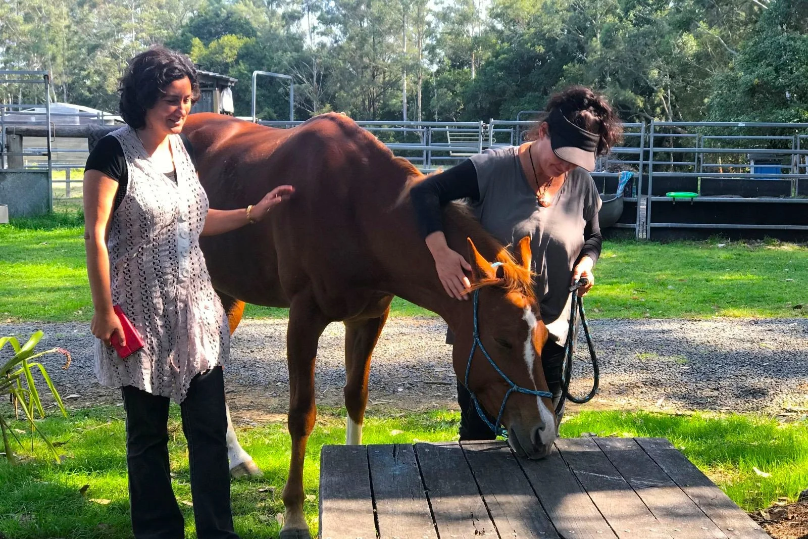Two women with a brown horse outdoors in a green field; one woman is petting the horse while the other stands nearby holding a red object.