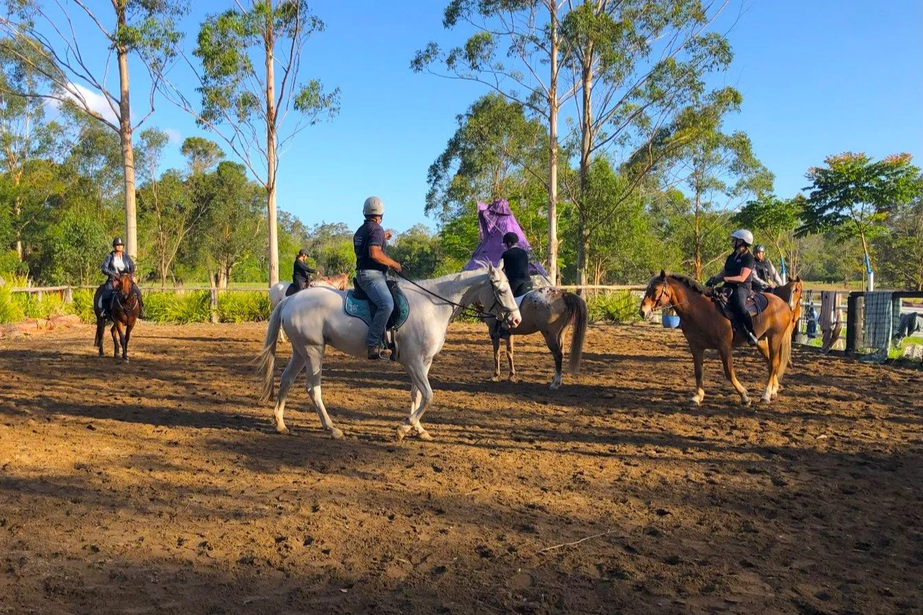 People riding and managing horses in an outdoor arena with trees and a clear blue sky.