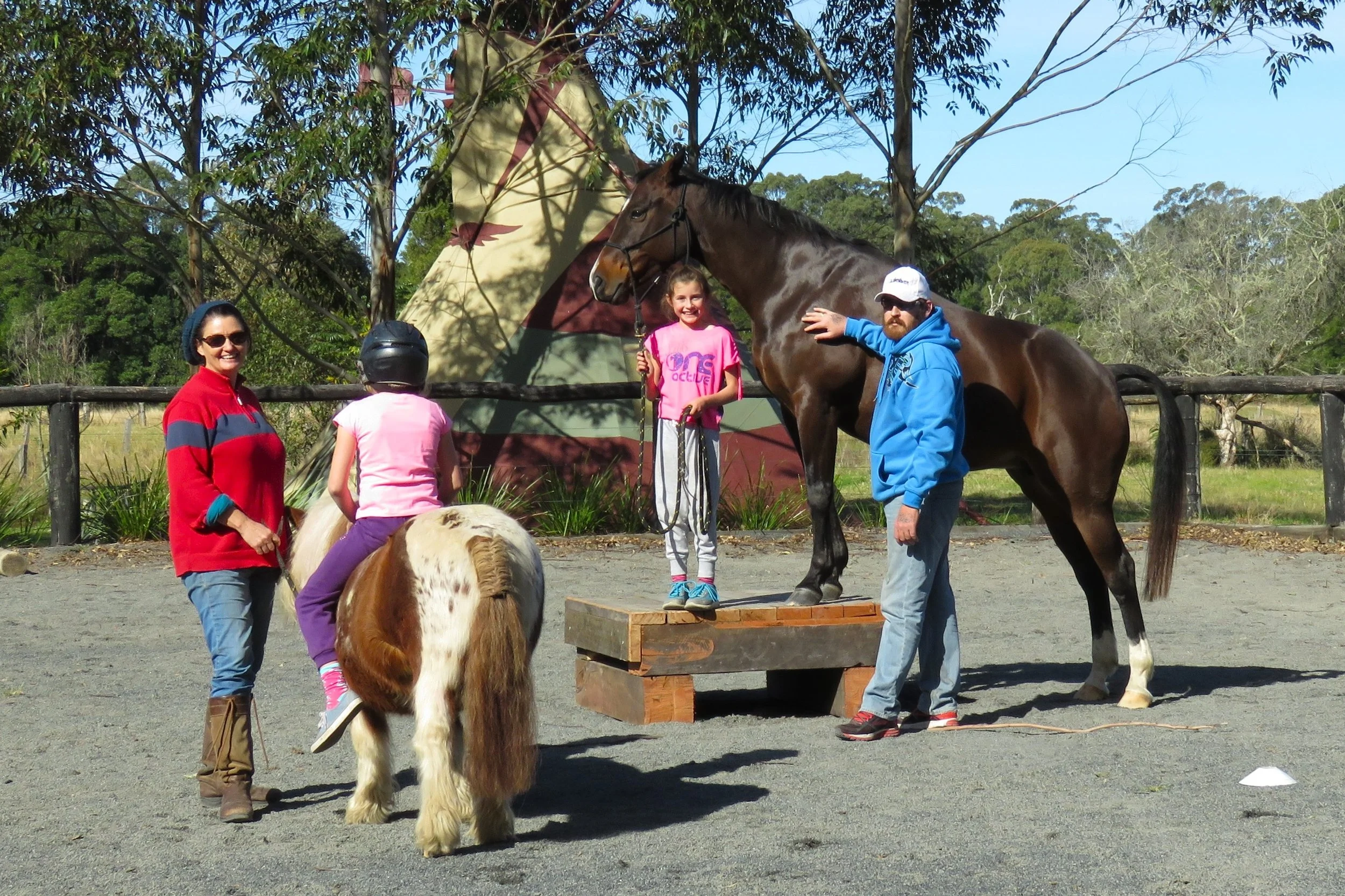 Horse Property - 84 Kings Creek Rd Krambach (11).JPG