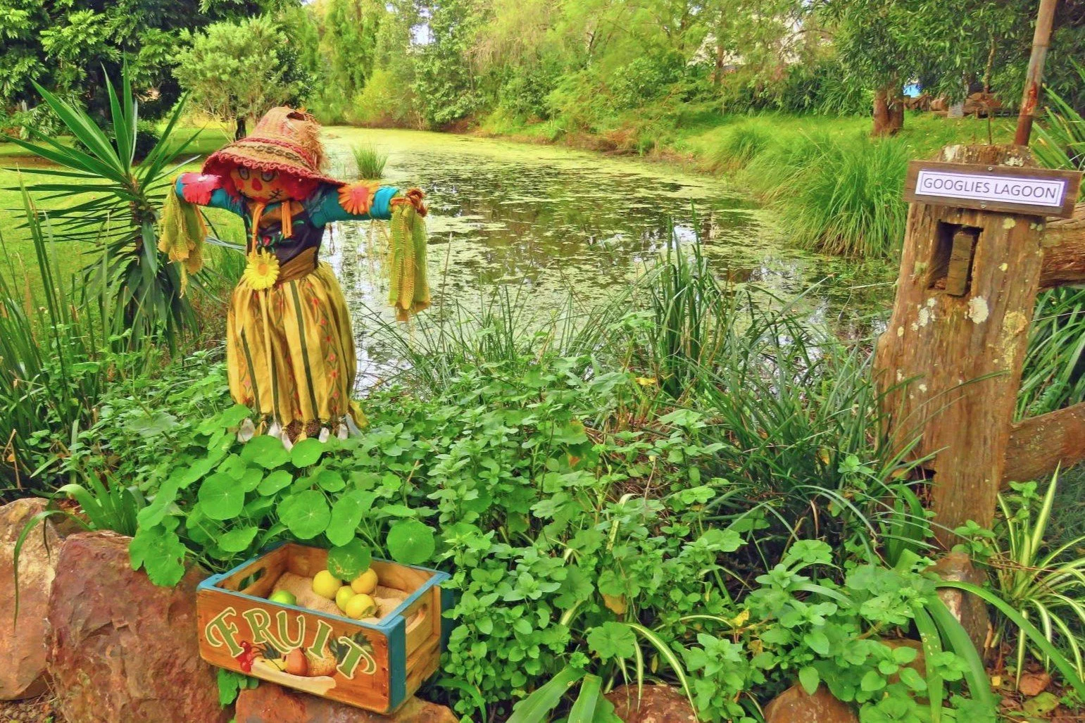 A lush, green lagoon landscape labeled 'Googlies Lagoon' with a scarecrow dressed in colorful clothes, a large straw hat, and a sunflower pinwheel, standing near a wooden crate filled with yellow and green fruits, surrounded by various plants and tal