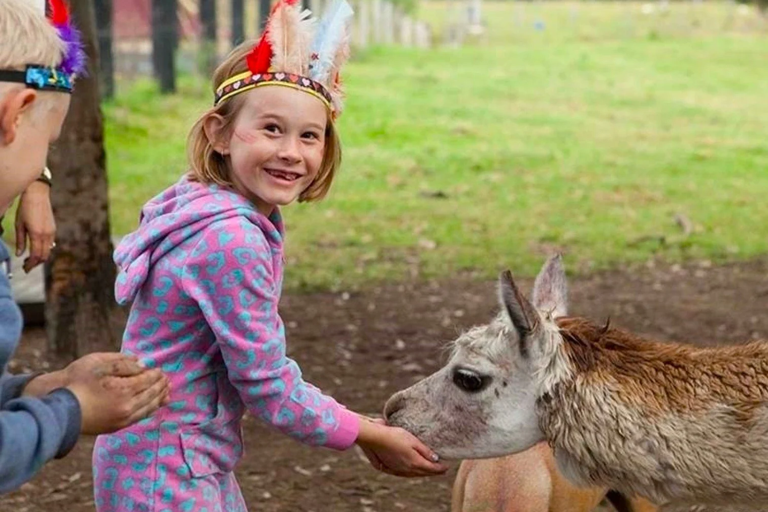 A young girl in a colorful hoodie and feathered headband pets a small llama while smiling and looking at the camera. An adult's hand is gently holding her waist. The background shows an outdoor wooded area.
