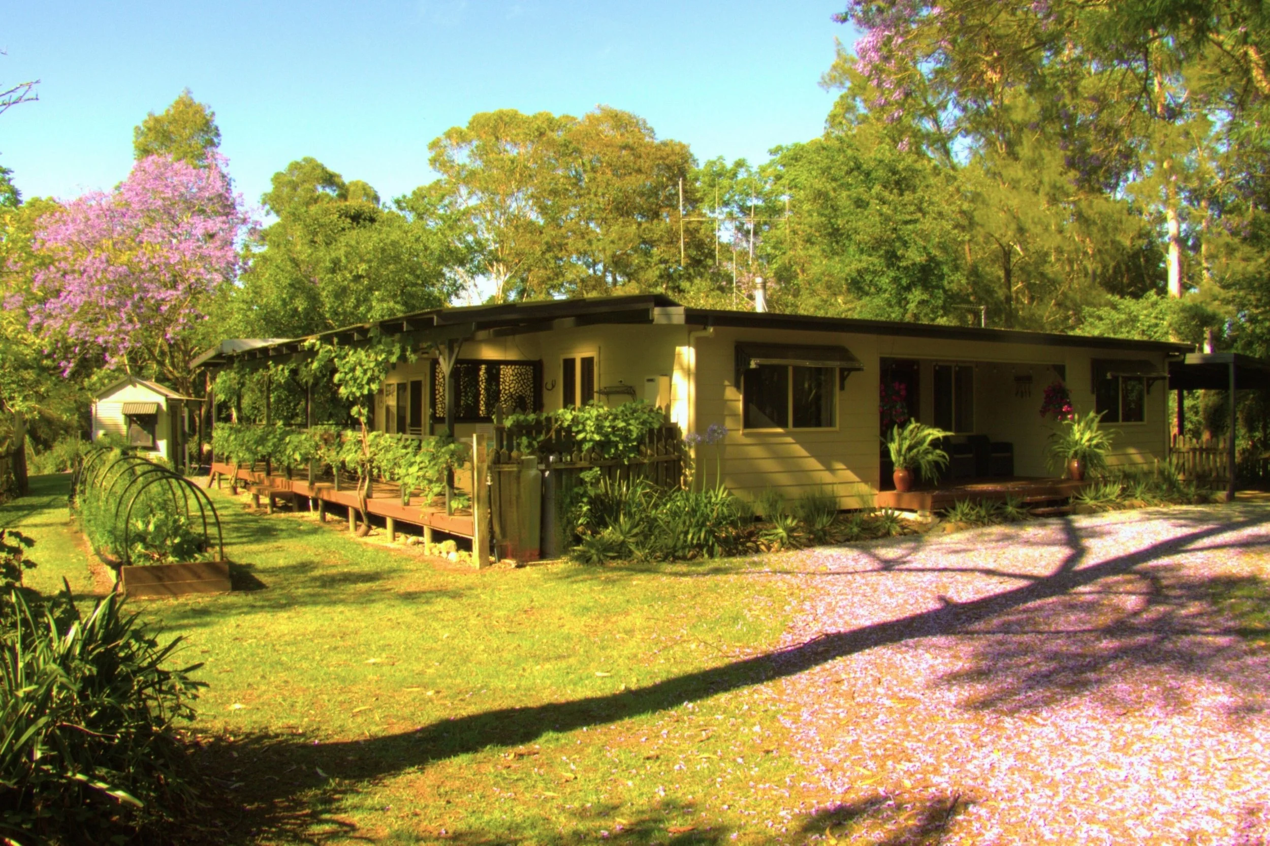 Single-story yellow house with a porch, surrounded by lush greenery and flowering plants, with trees and a clear blue sky in the background