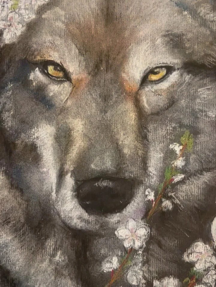 Watching intently with a fierce but gentle power behind her yellow eyes..

Signs of life all around her in the pastel colours of the cherry blossom and the dotted chatter of a gang of tiny longtails&hellip;

&lsquo;Hope&rsquo; 
Pastel and charcoal

L