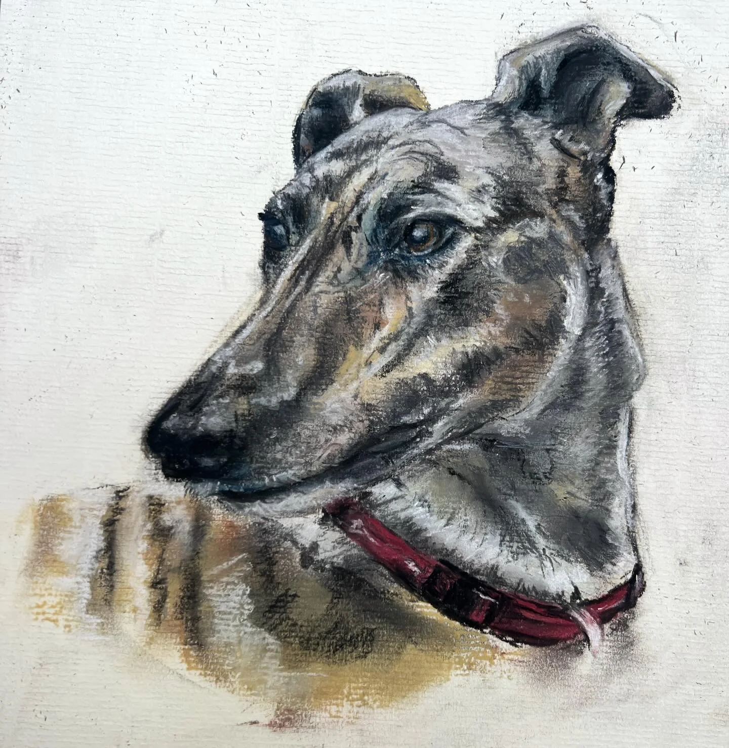 &lsquo;Griffin&rsquo; 
For my dear friend Claire xx ✨&hearts;️

#petportrait #lurcher #dogart #pastelartist #animalartist