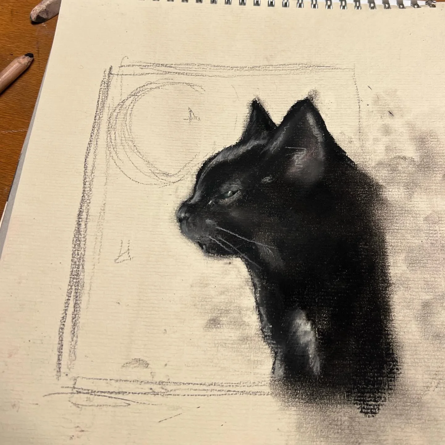 Working on this magical soul tonight &hellip; ✨🌙🖤

#blackcat #catart #cats #catportrait #witchescat
