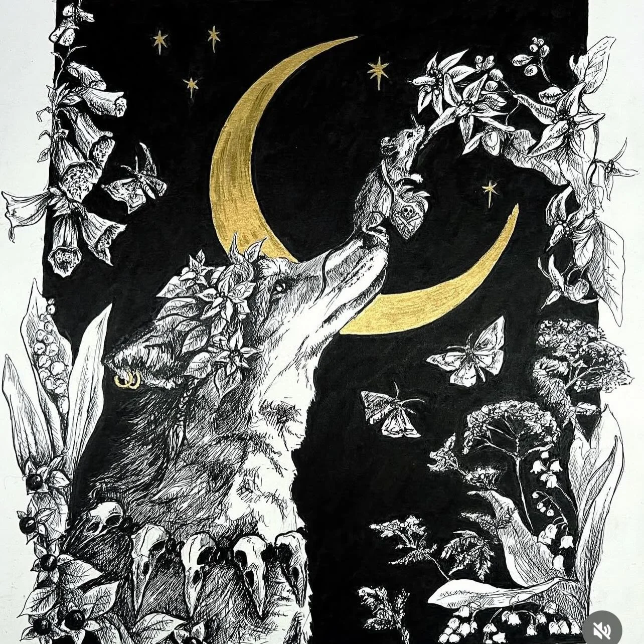 The right dose of poison can be a medicine&hellip; ✨

&lsquo;Pick your poison&rsquo; 
Pen and ink ✨🌙

#pickyourpoison #foxart #witchart #darkfairytales #illustrator