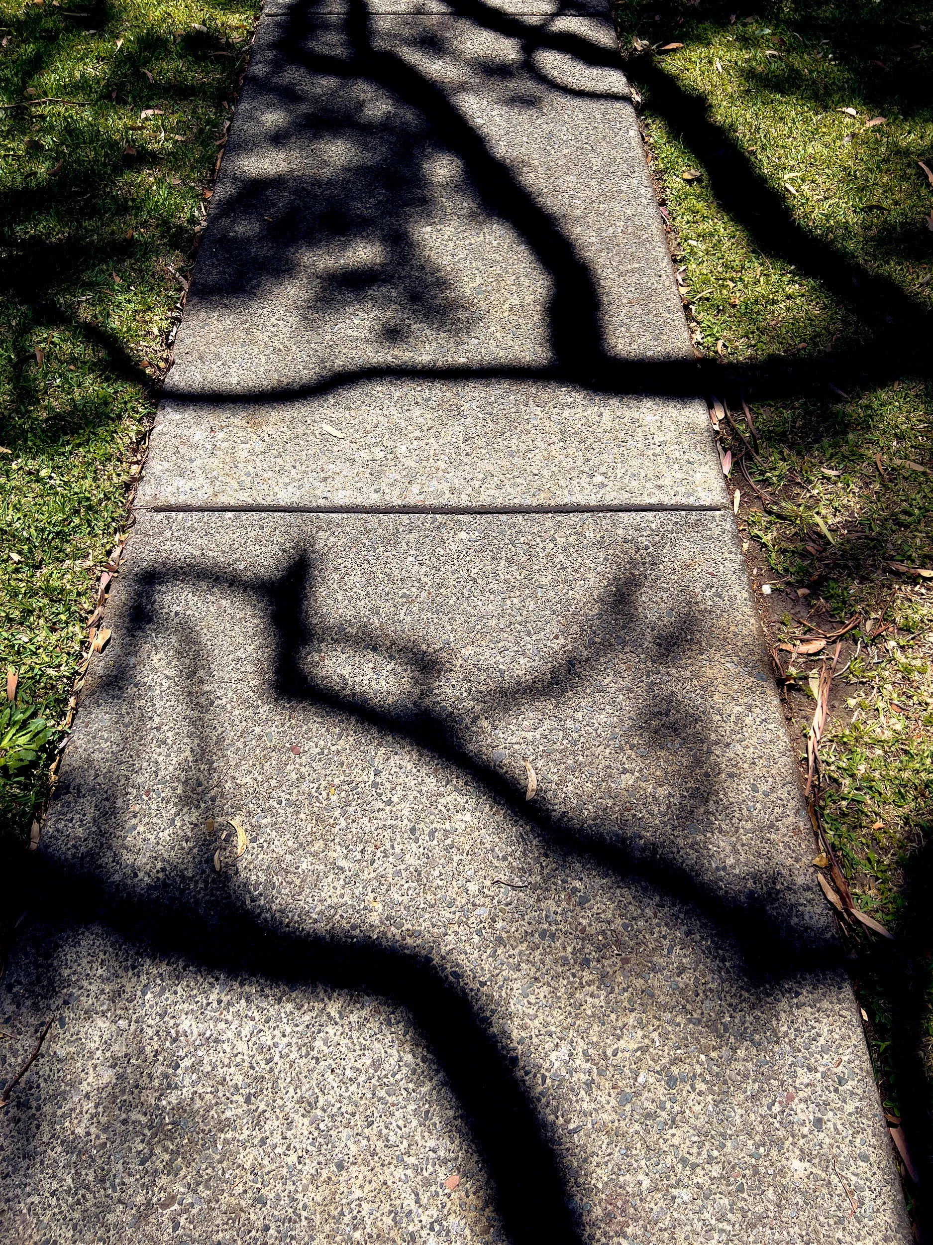 Path_Shadows.jpg