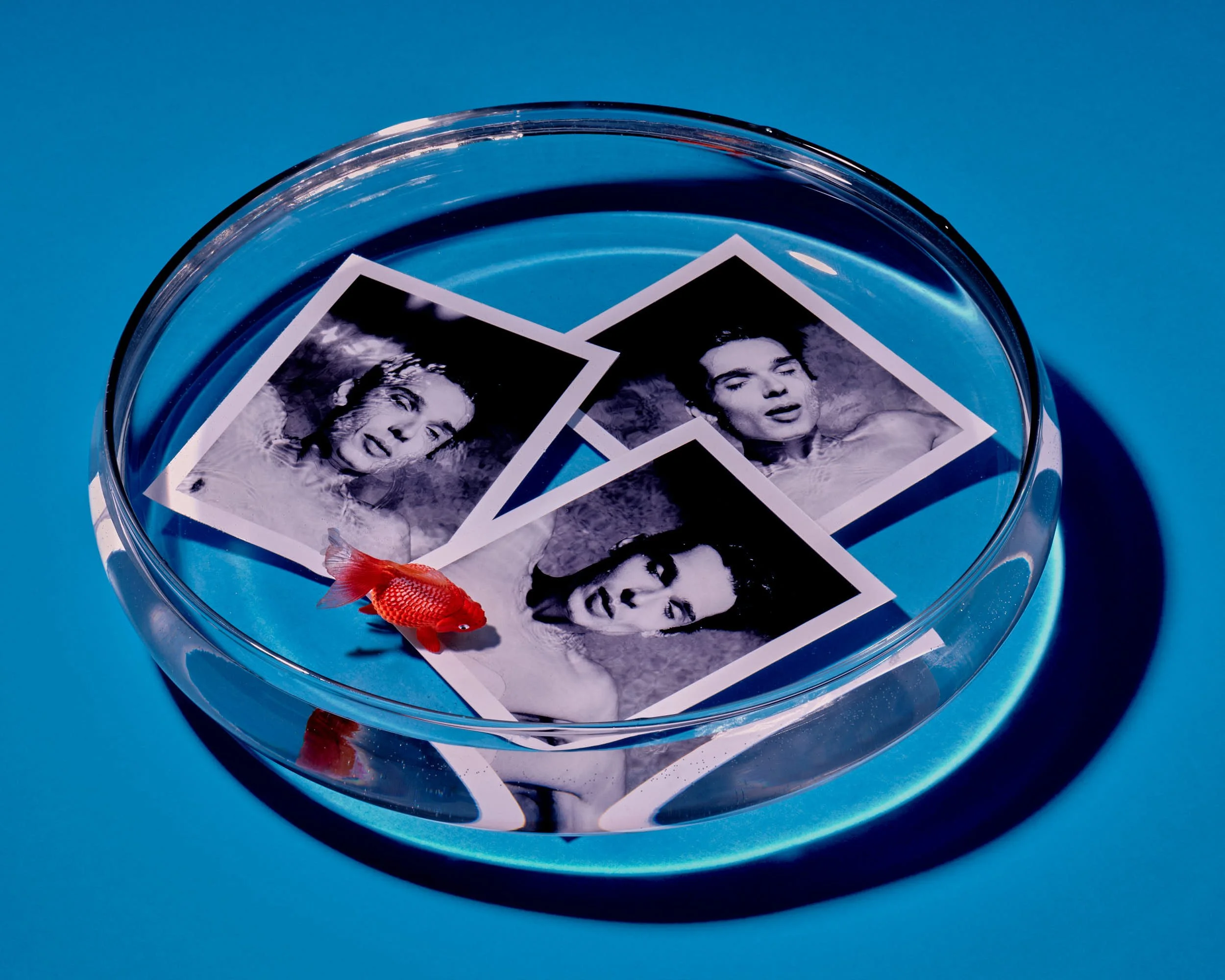 'Bowl of Polaroids', from the series  Simulacra .
