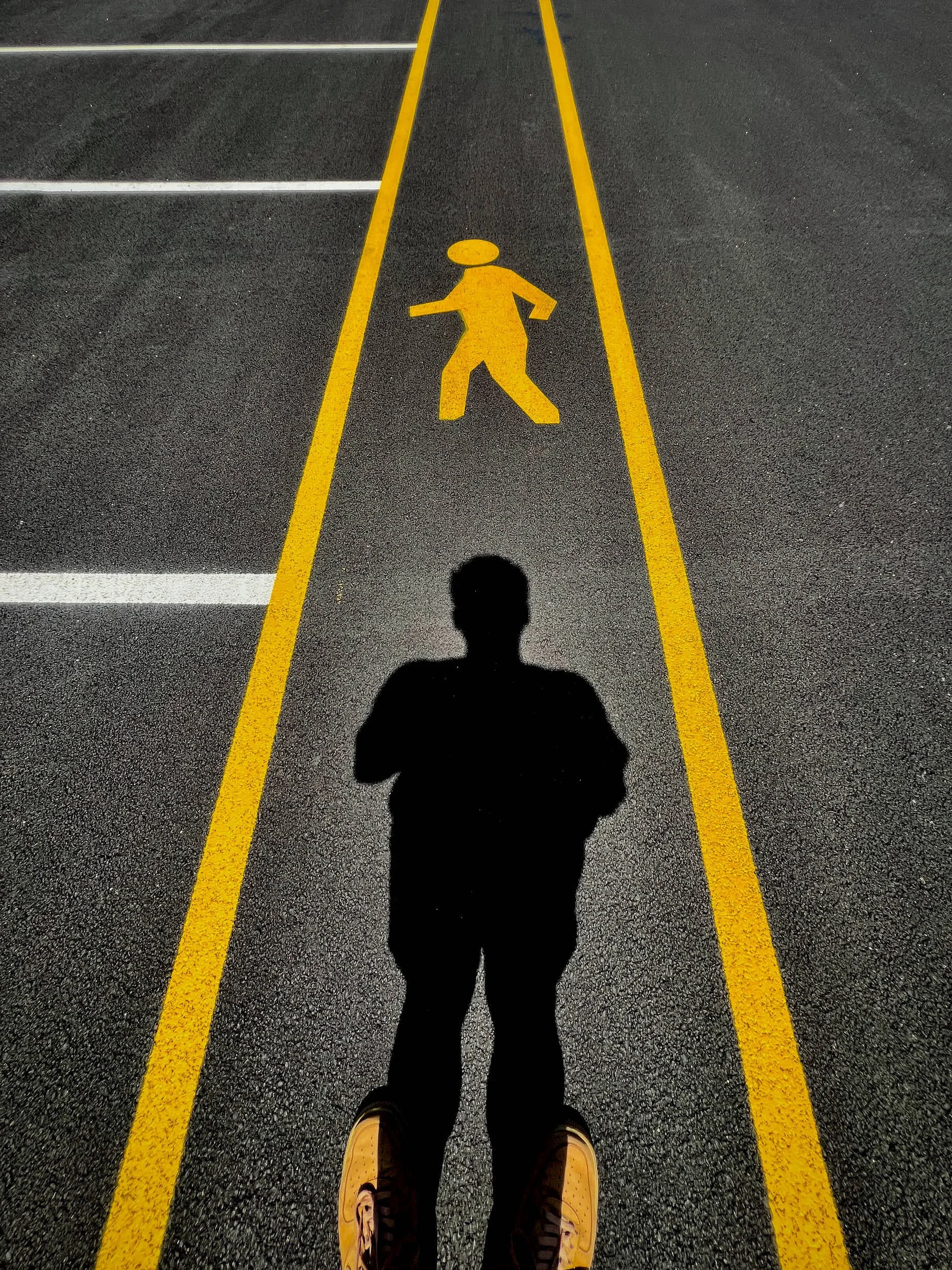 'Chasing Shadows', 2025.