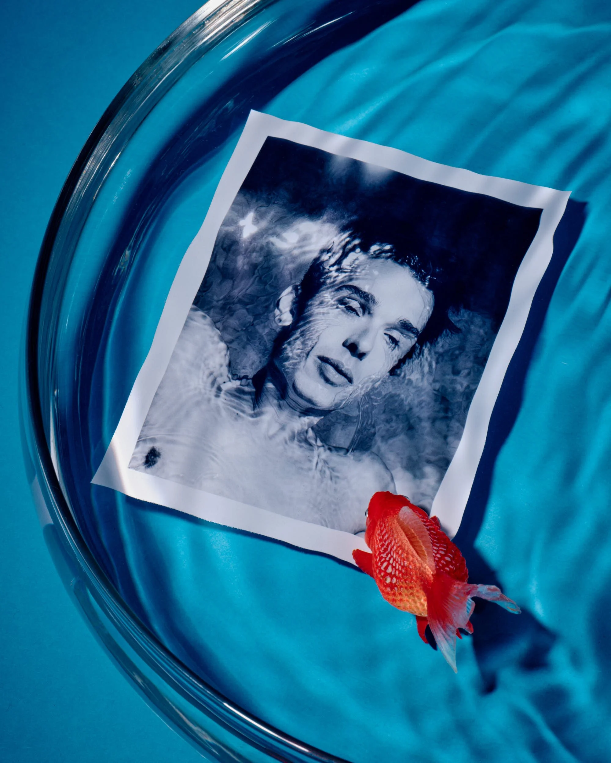 'Dream of a Goldfish', from the series  Simulacra .