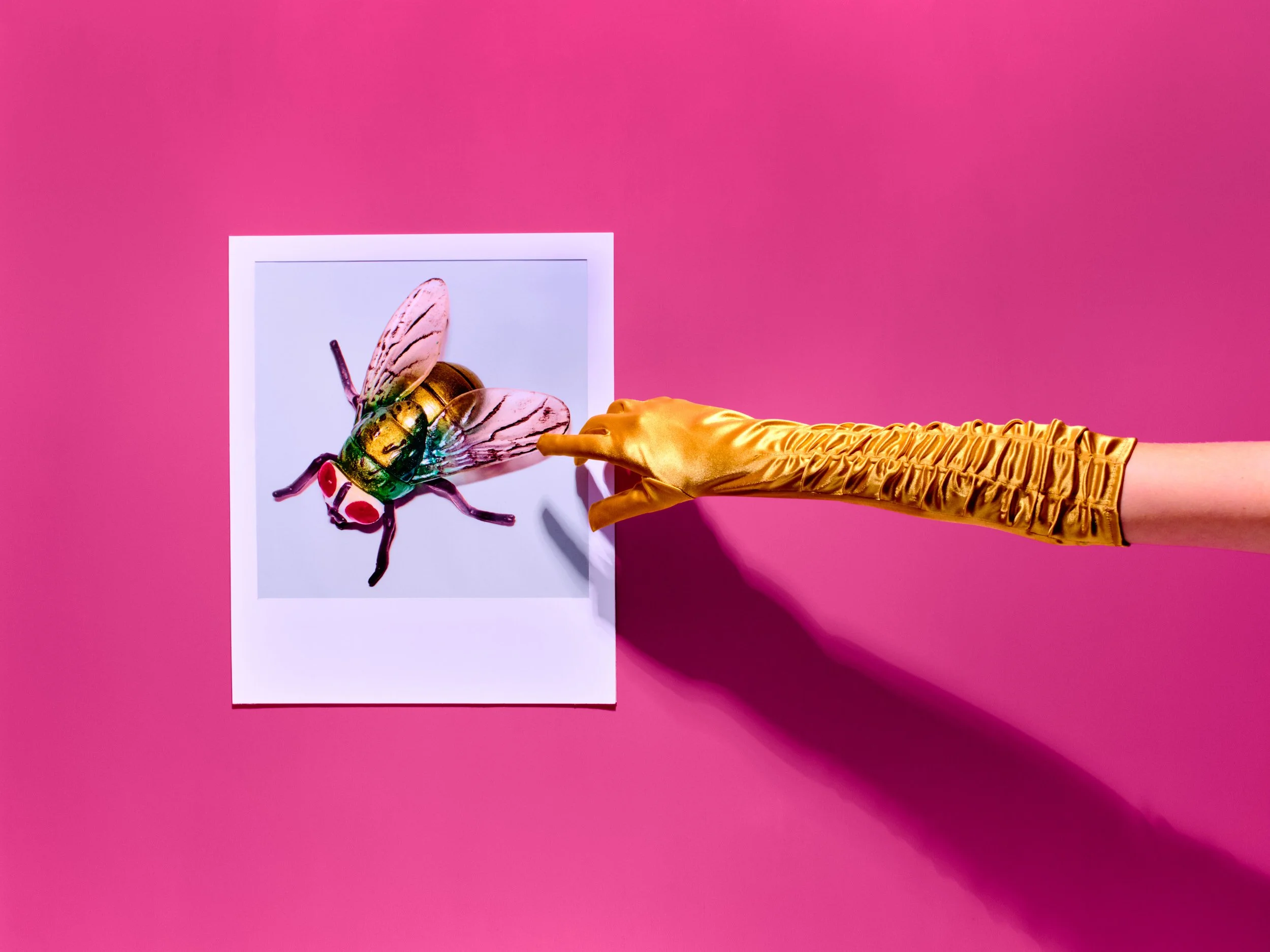 'Fly', personal work from the series  Simulacra .