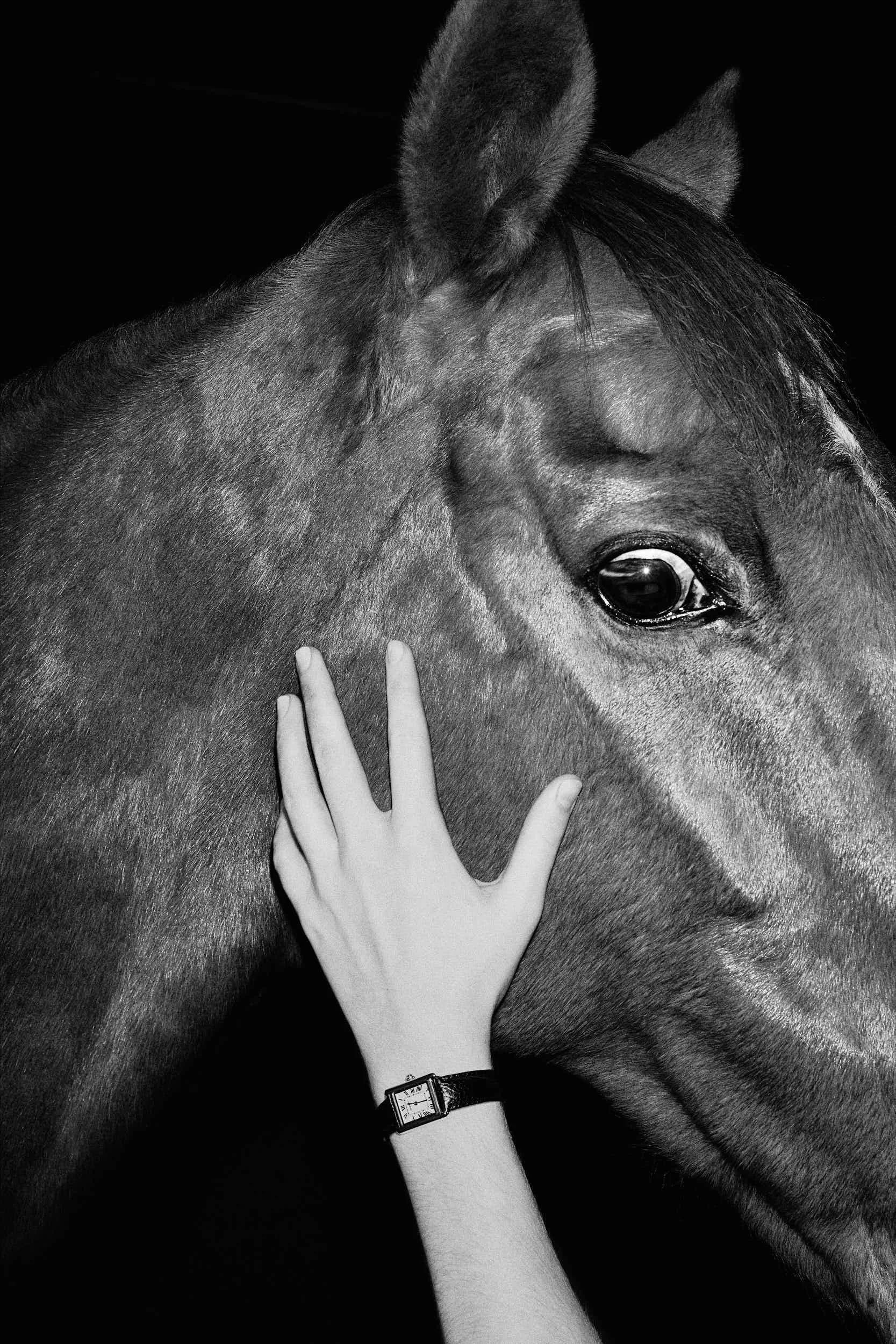 'Lola's Horse', Test shoot for watch brands.