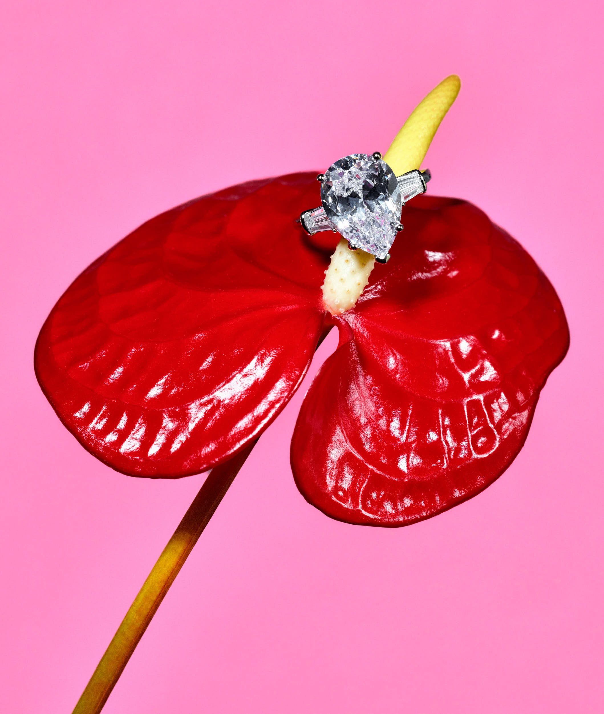 'Flowering', personal work, 2026.