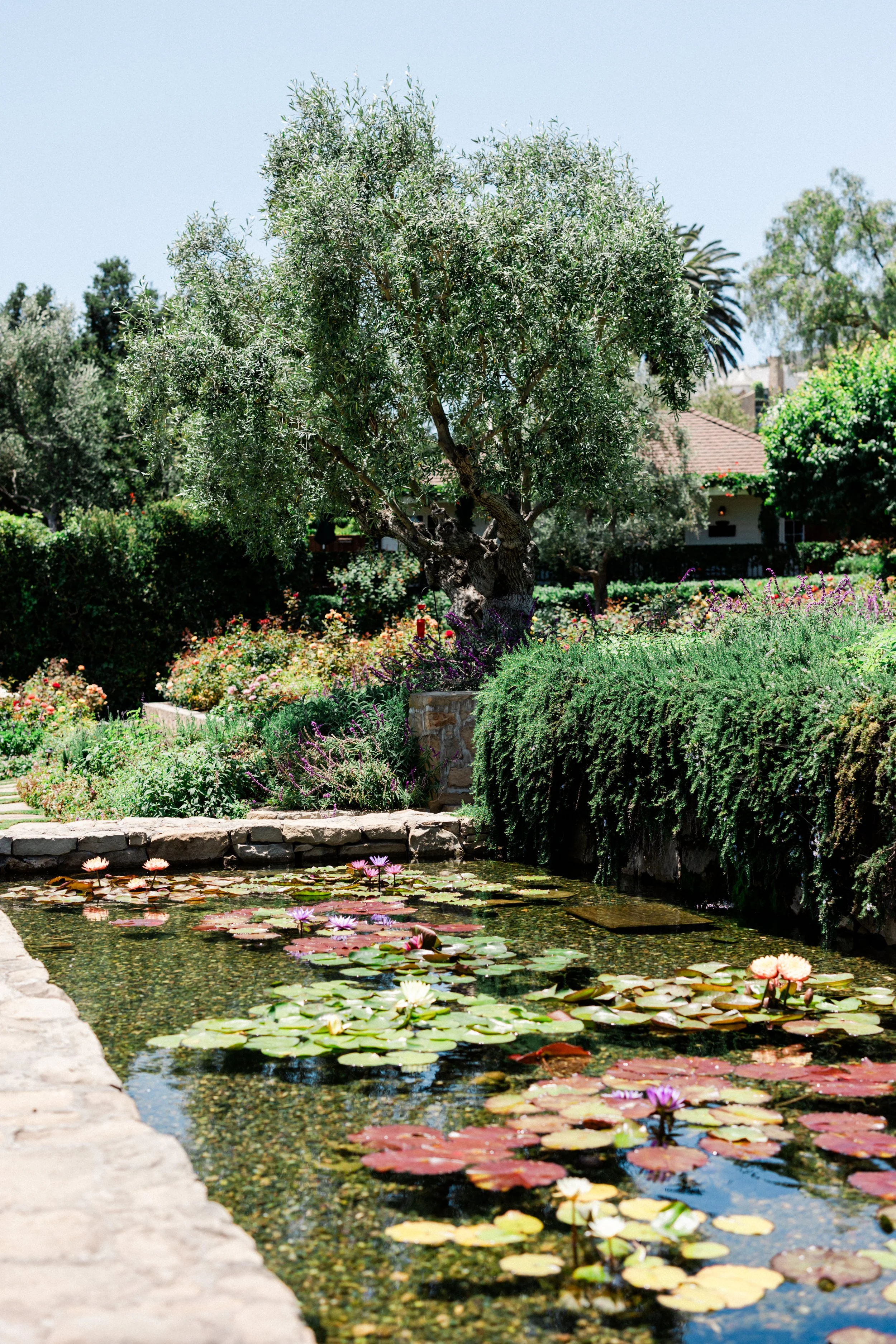 San Ysidro Ranch Santa Barbara Wedding-Valorie Darling Collective-11.jpg