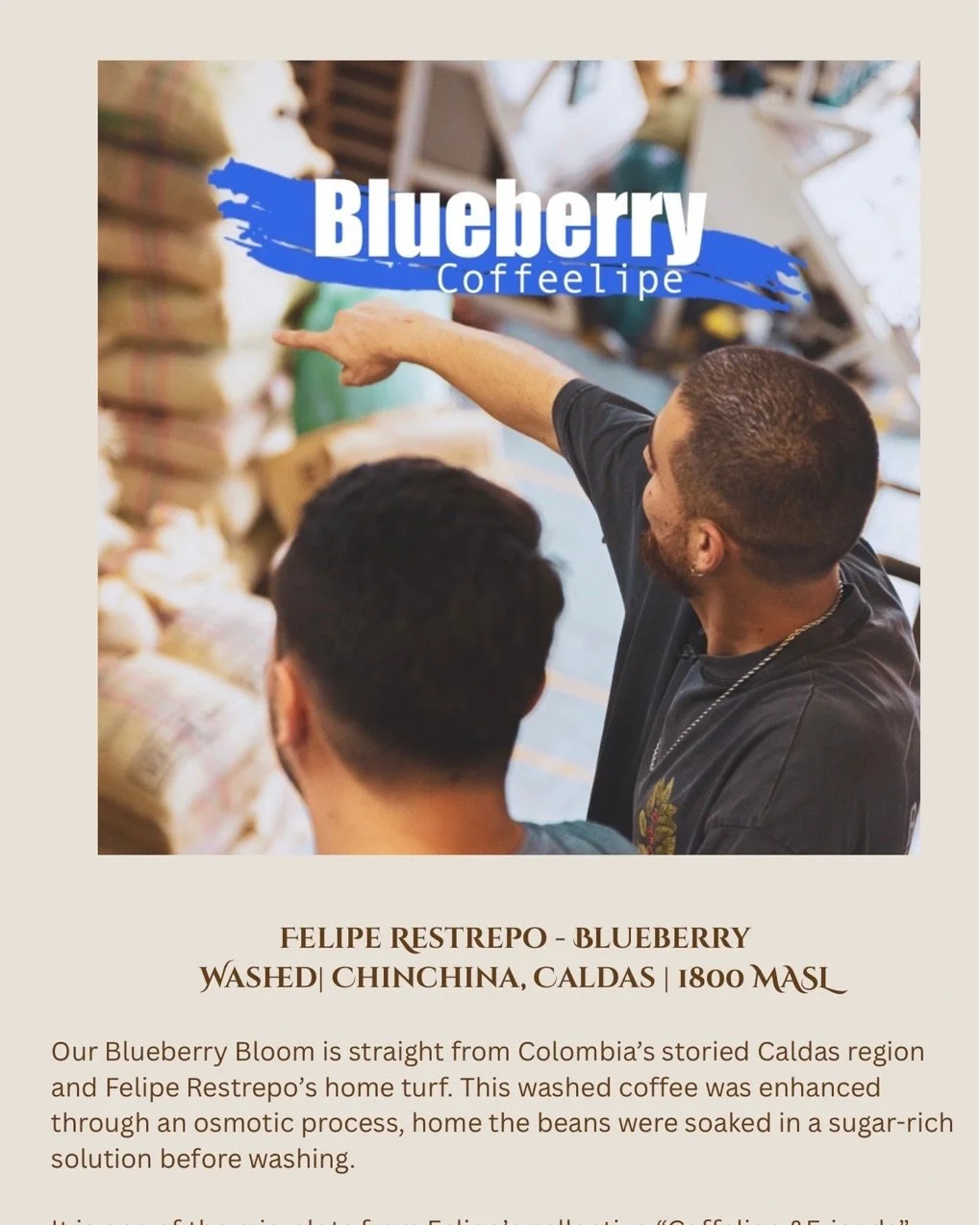 Hello Auro Family!!! Here is some information on our Blueberry Bloom.