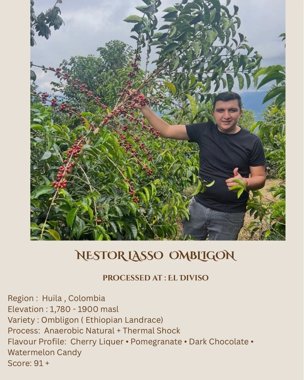 Hello Auro Family!! We are striving to keep our promise to our community. We have endeavoured to bring some of the best coffee to you. We believe every coffee lover should have the accessibility and opportunity to savour and experience world renowned