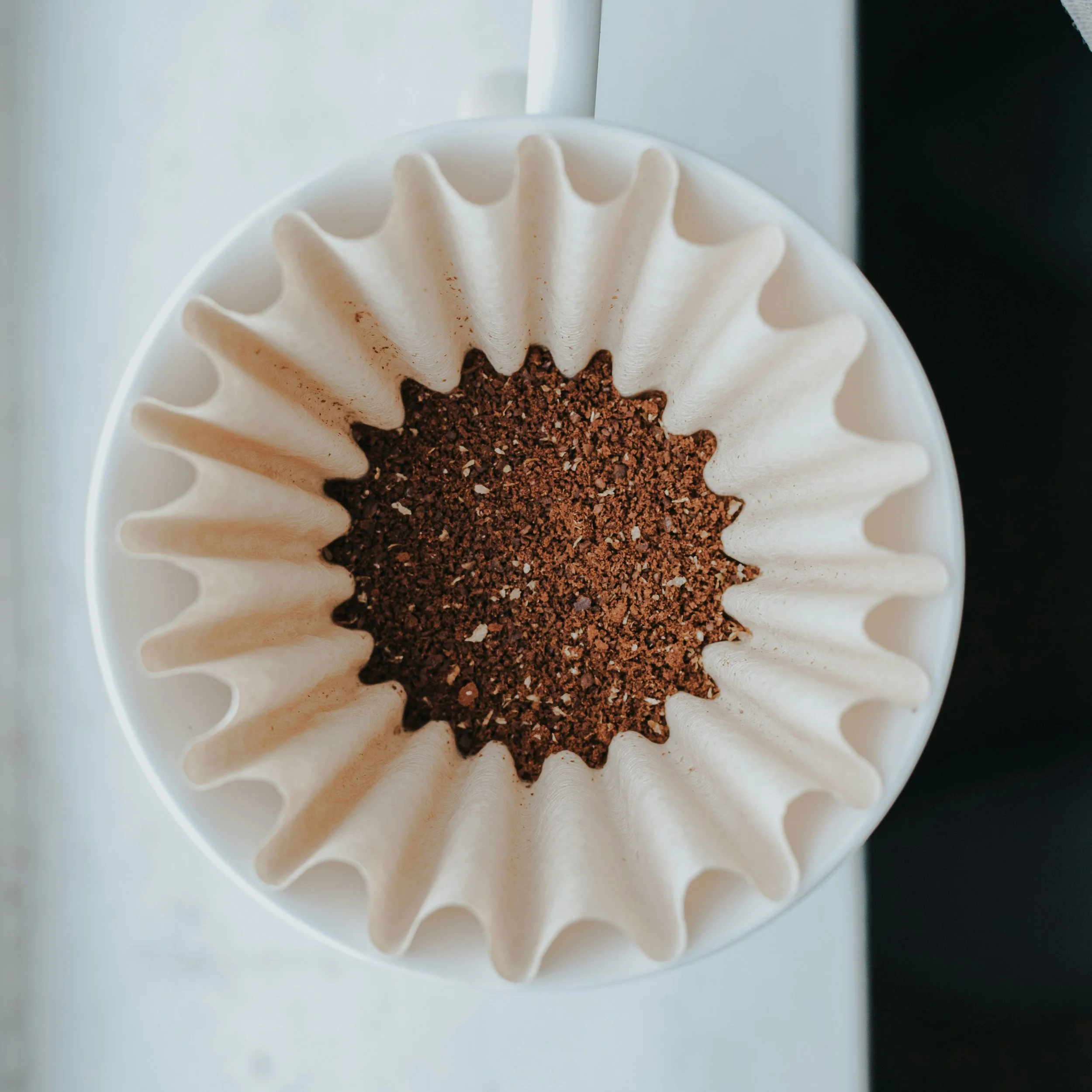 Coffee filter with ground coffee in a white dripper on a light-colored surface.