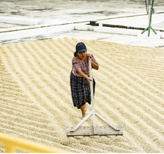 Screenshot 2026-04-09 180724.png