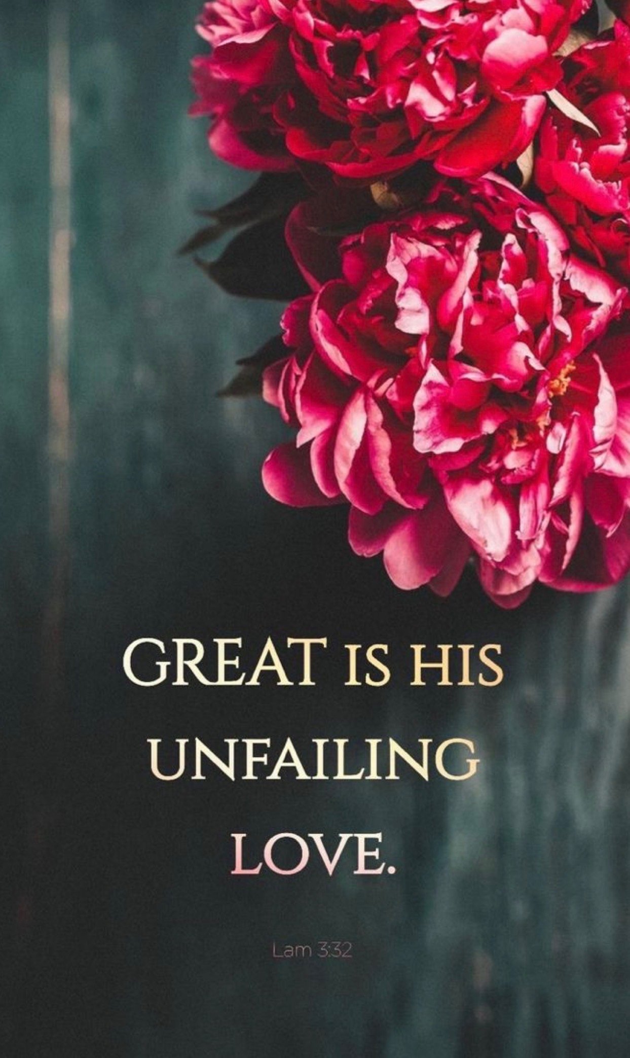 Rooted in Grace: A Faith Walk for Every Season of Life