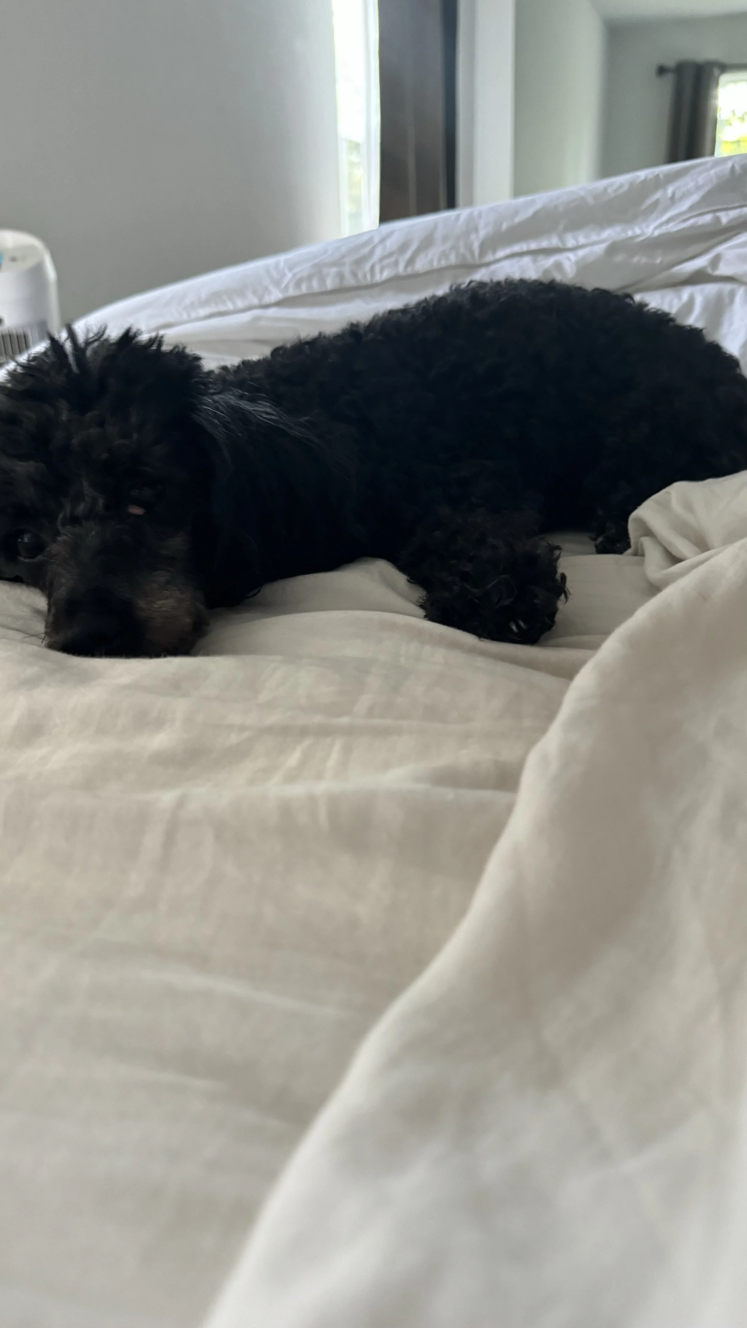 My Slow Morning Routine: How I Stay Sane as a Busy Working Mom