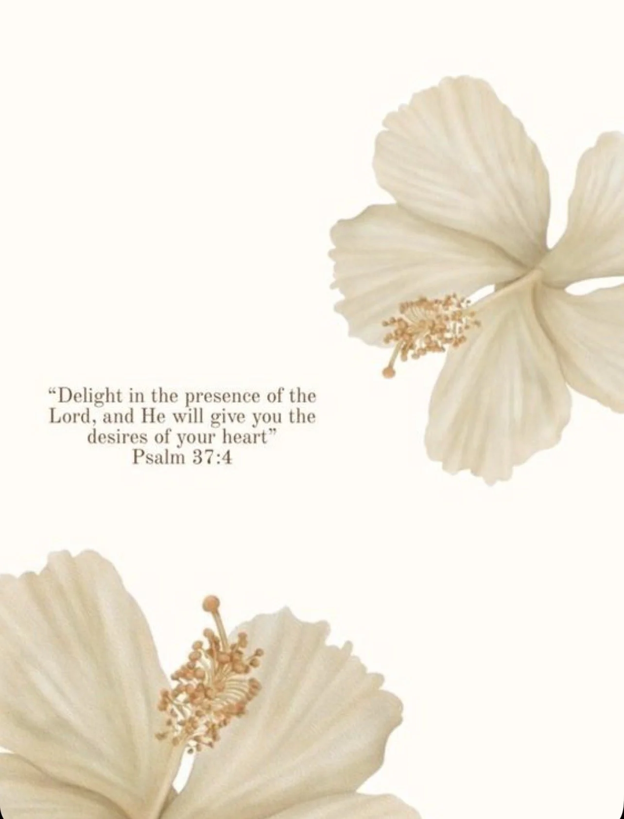 Breaking Free from Hustle Culture: How I Found Peace in Slowing Down