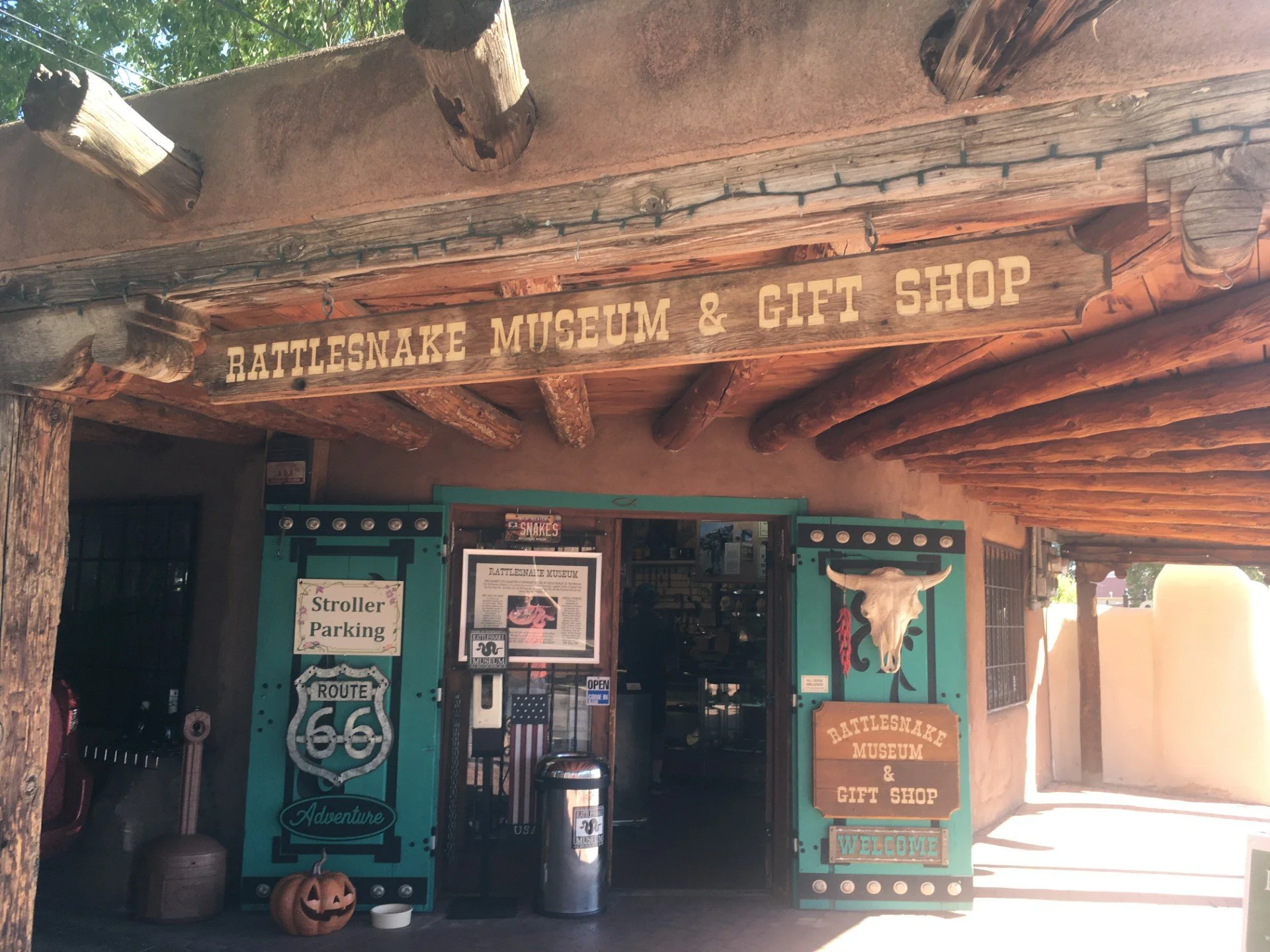 Rattlesnake Museum - Old Town Albuquerque, New Mexico