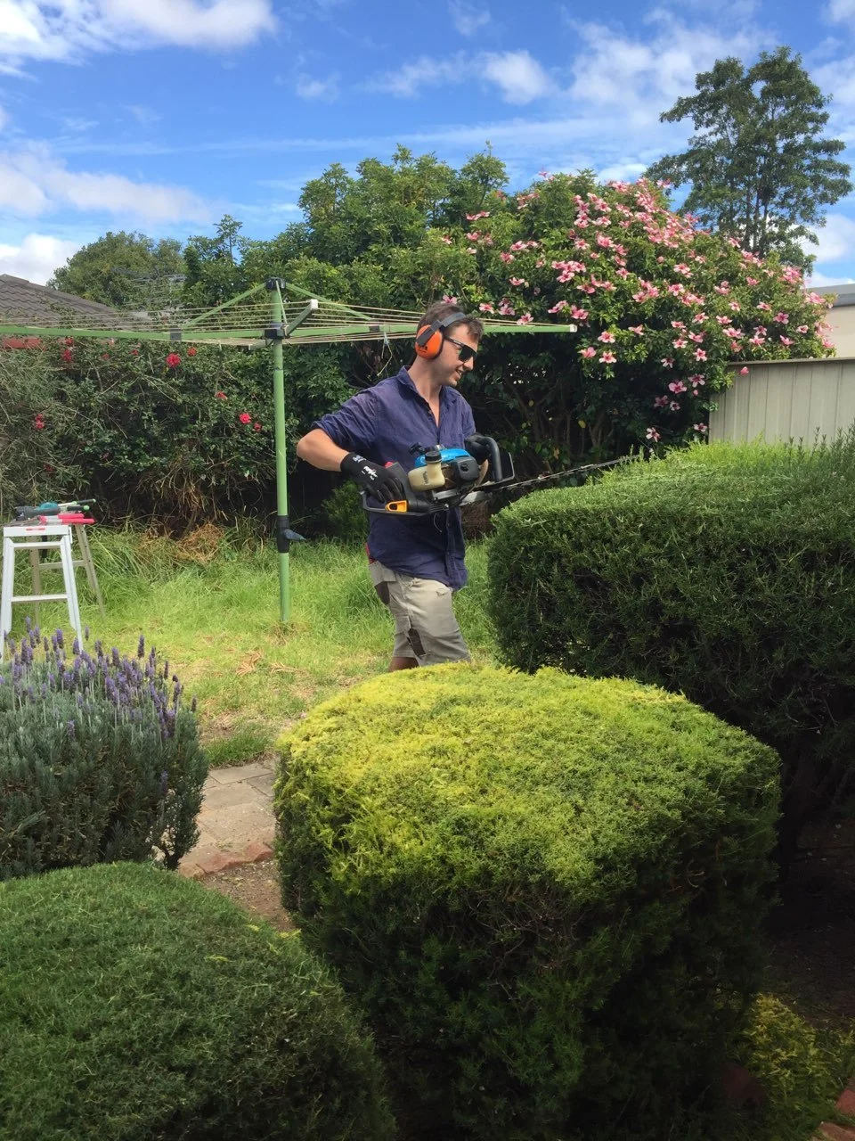 DR Gardening.jpg