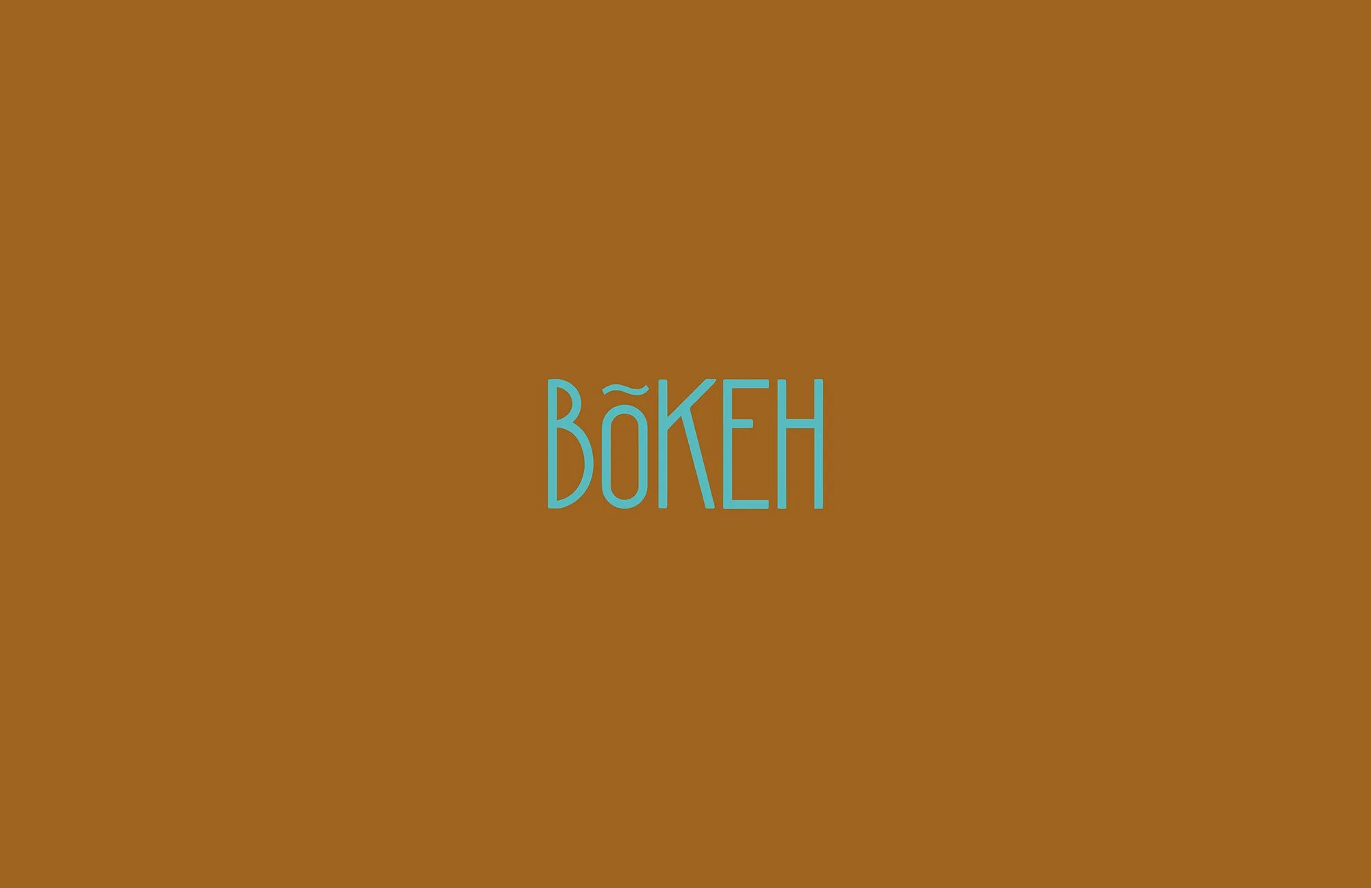Bokeh_Website_1.jpg