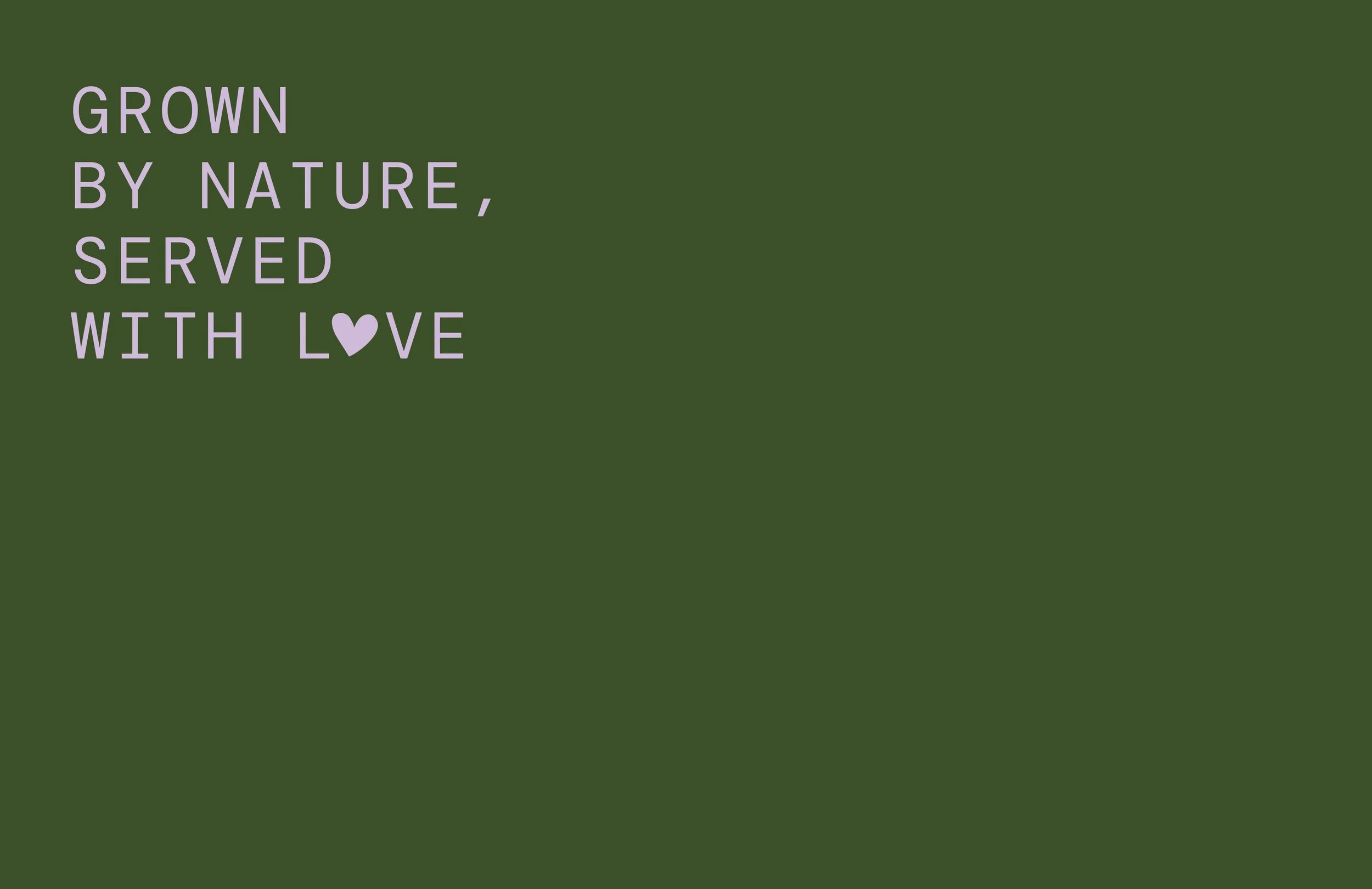 Strategic Direction
The name derives from the Greek word Kipos (garden), symbolizing cultivation, fertility and care.
The strategic objective was to frame organic retail not as trend, but as cultivated lifestyle — rooted in place, yet export-ready.
P