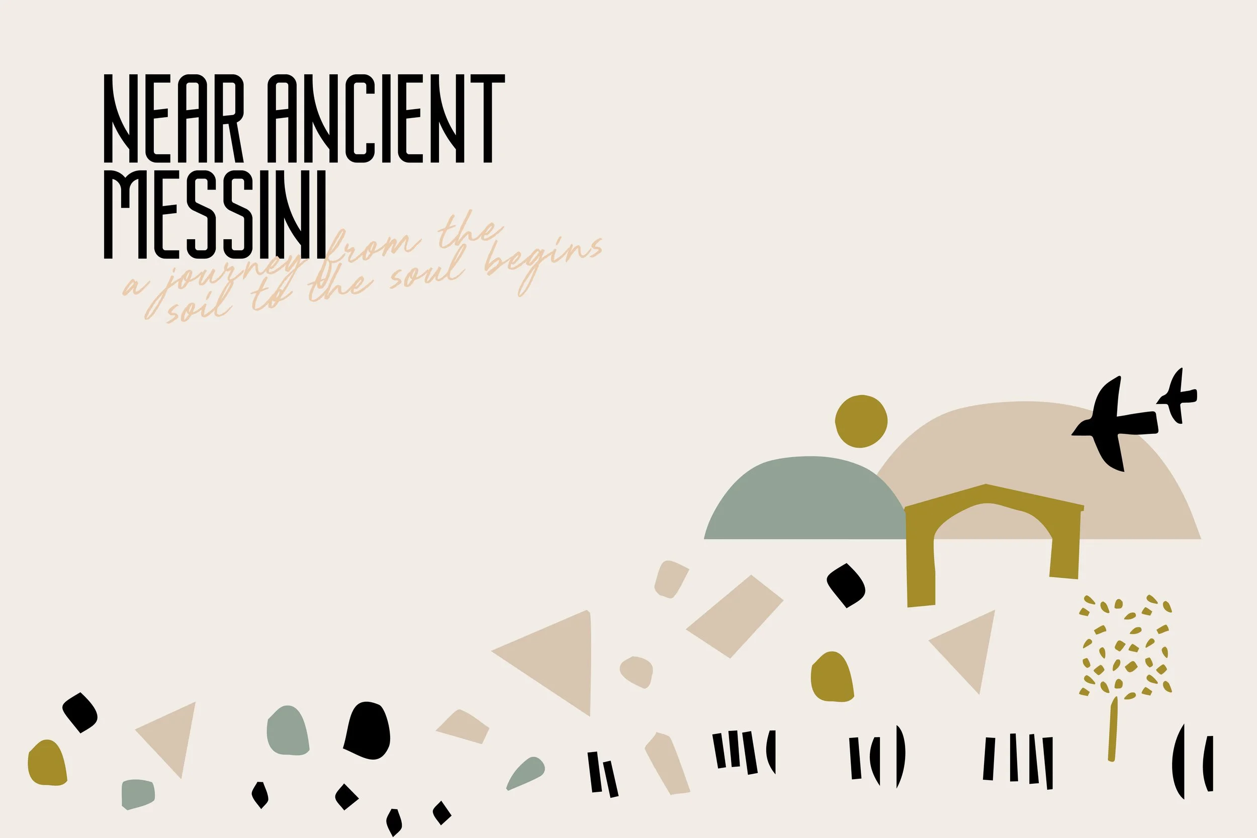 Website_Lezi olive oil_3.jpg