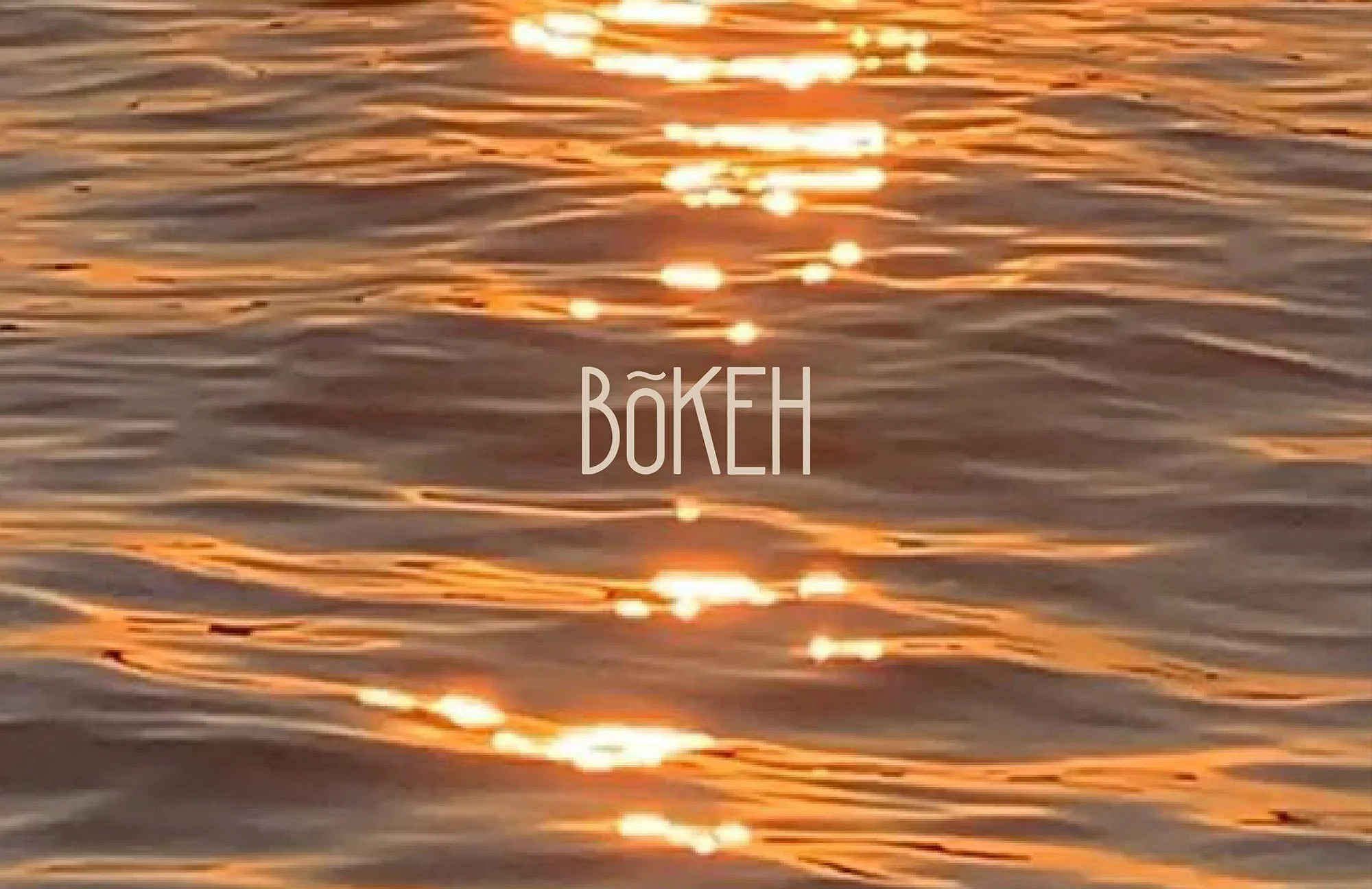 Bokeh_Website_20.jpg