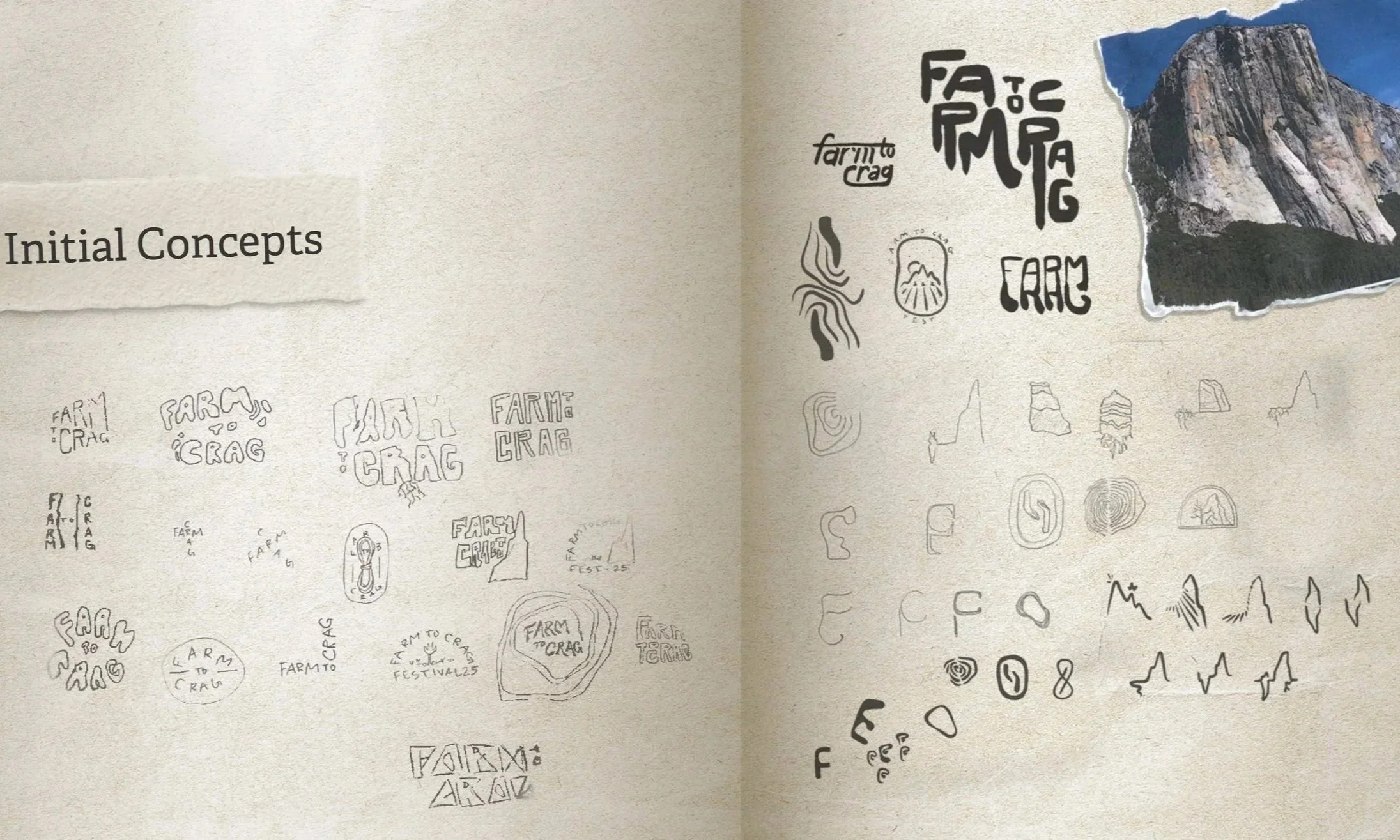logo%2Bsketches.jpg