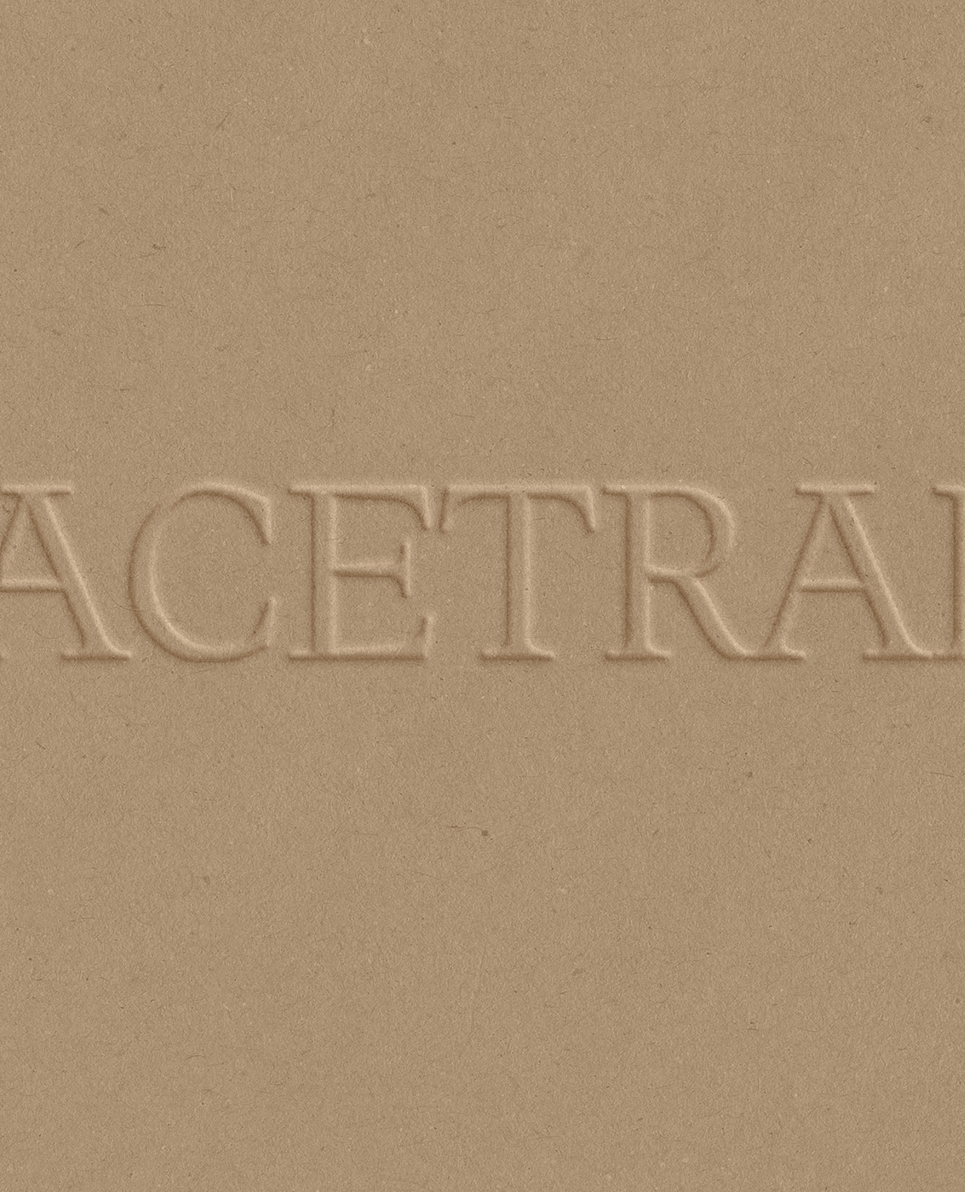 equestrian business branding and website