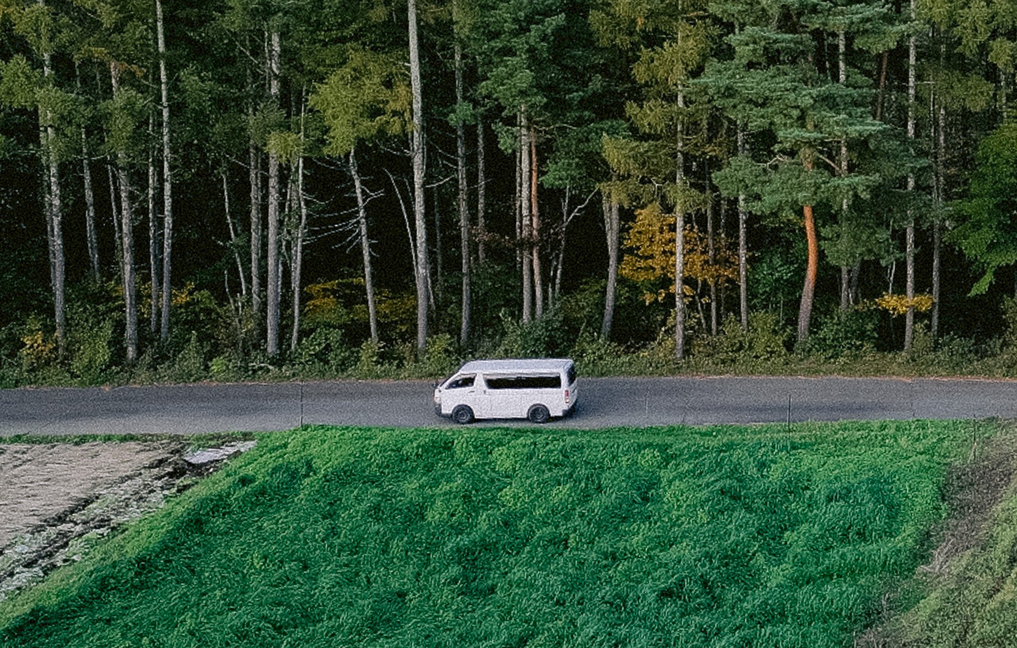 森の背後に白いバンが走る道路があり、その前に緑色の芝生が広がっている風景