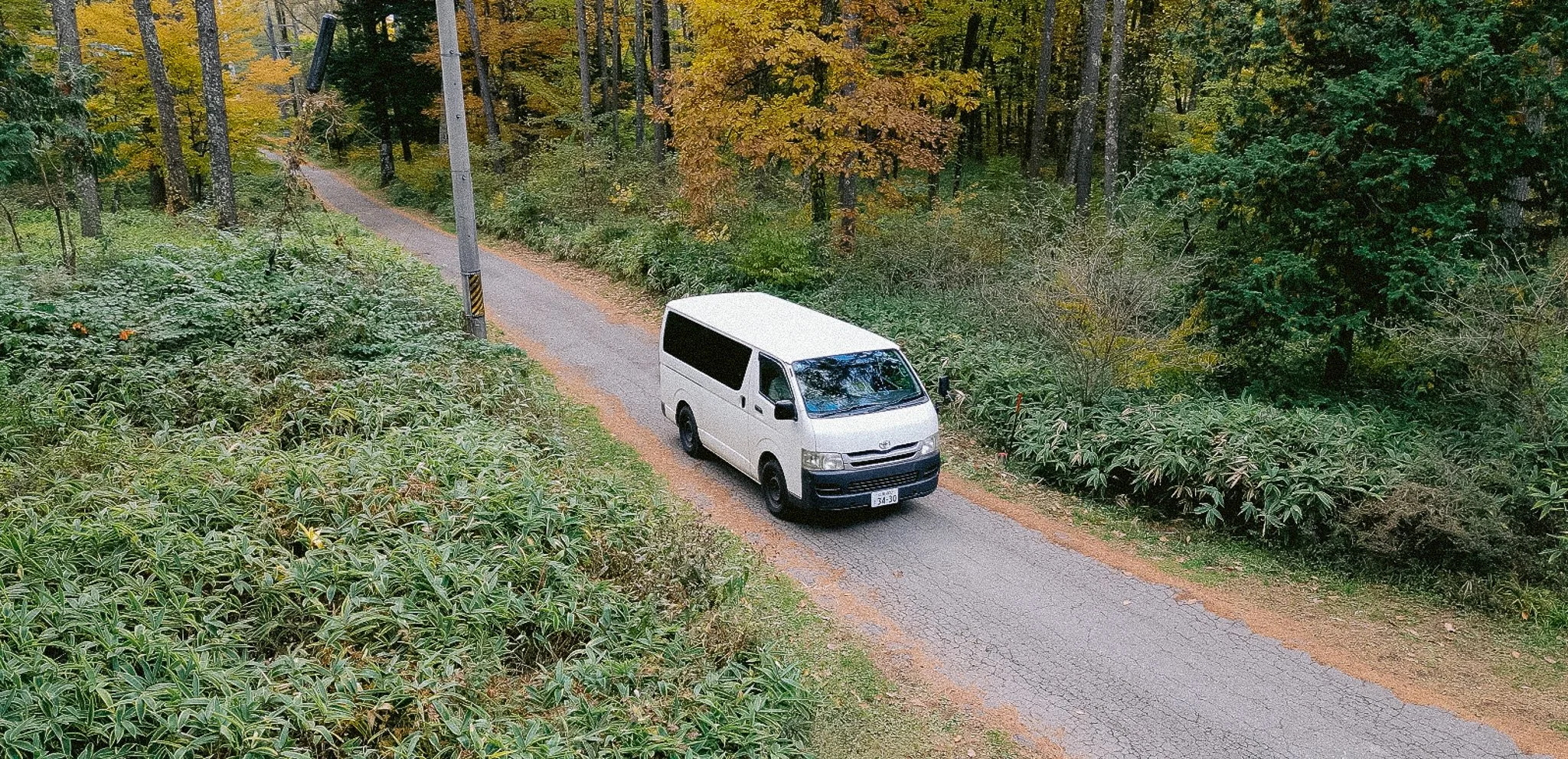 秋の森林の中の狭い舗装道路を走る白いバン